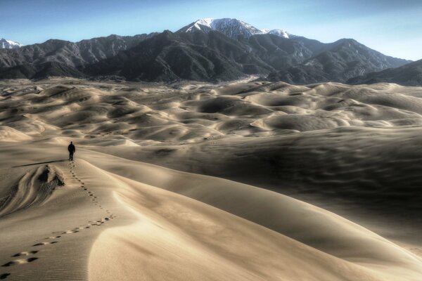 Grandes dunes de sable dans le parc National