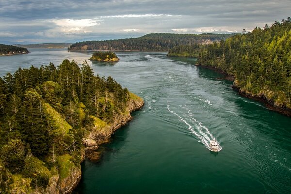 Natura foresta fiume isola di Whidbey