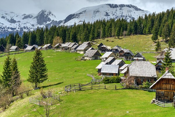 Village sur la plaine avec la lisière de la forêt