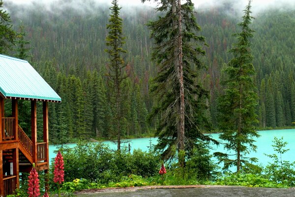 Hermosa vista en el fondo del parque nacional Yoho