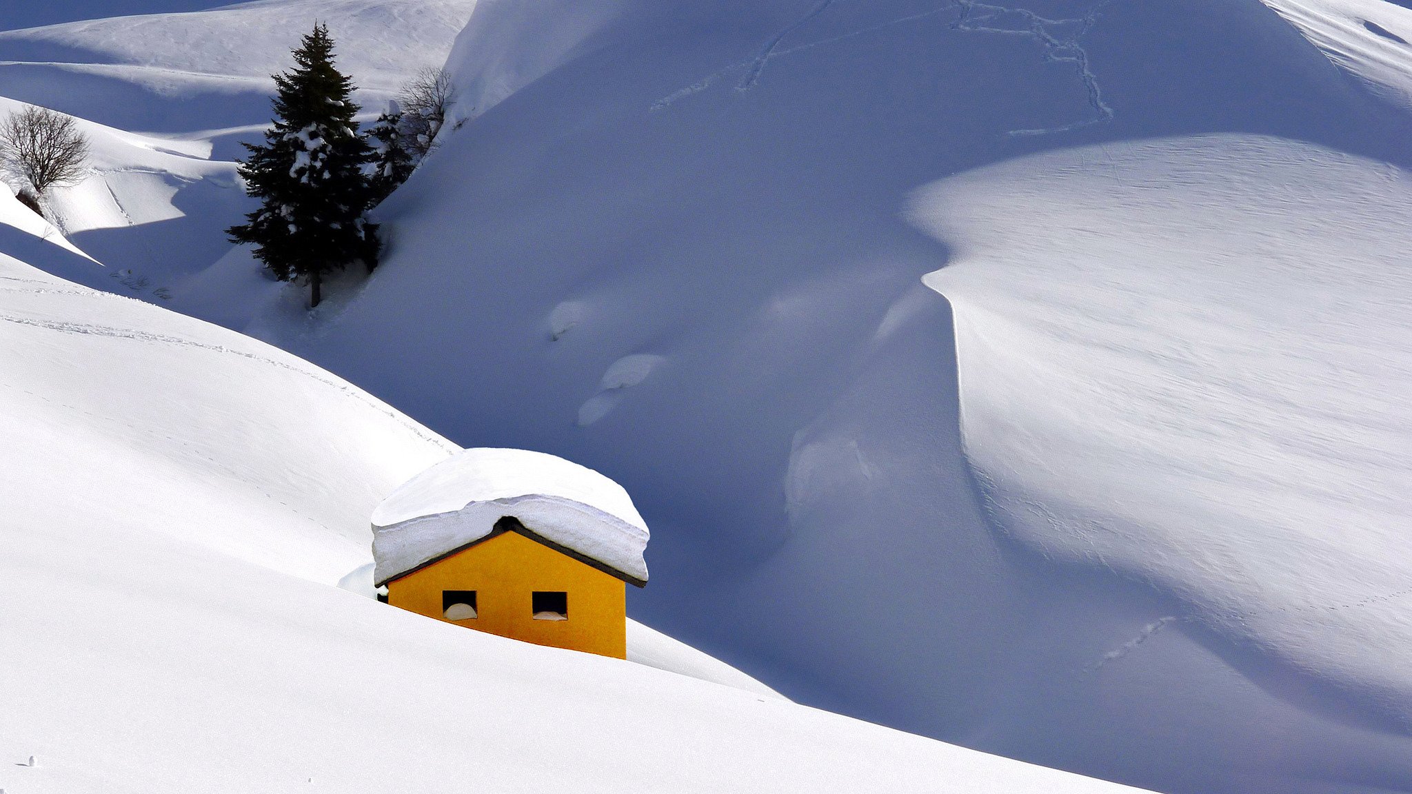 montañas invierno nieve casa árbol abeto