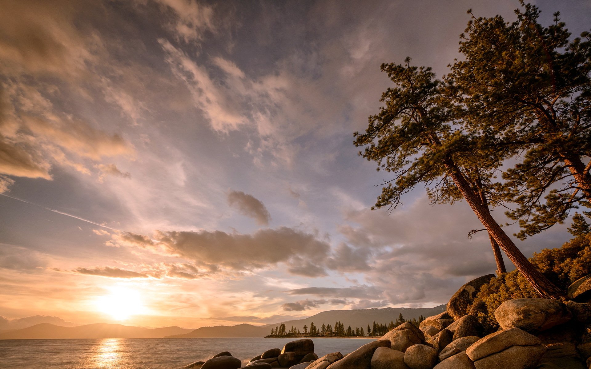 lago tramonto albero paesaggio