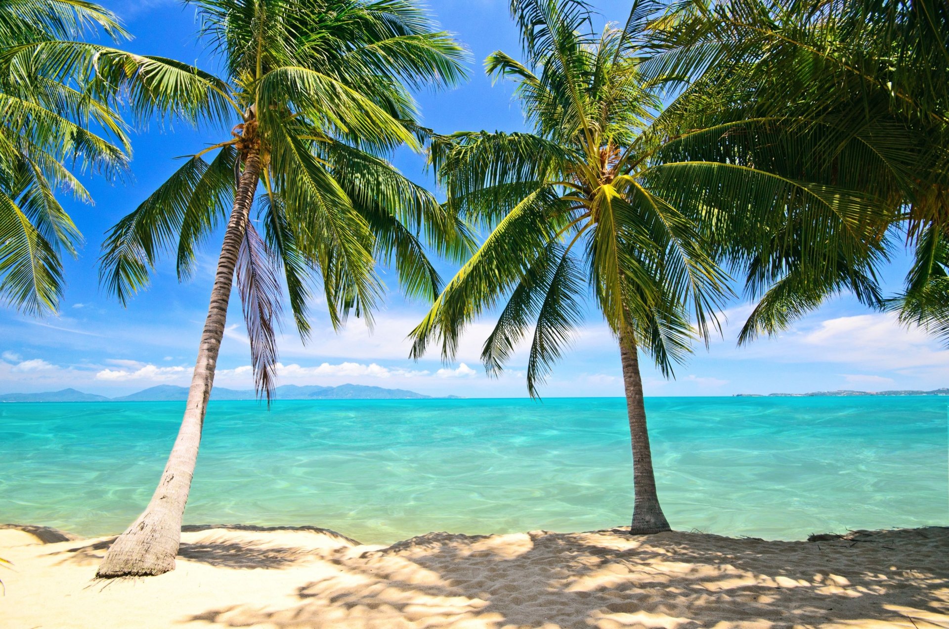 spiaggia palme sabbia oceano cielo nuvole orizzonte