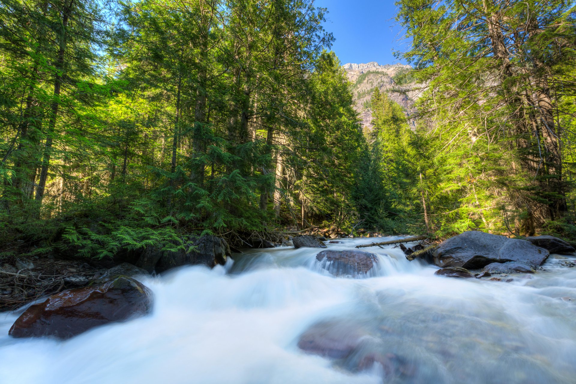 glacier national park montana u. s. a. cielo montagne alberi fiume flusso pietre foresta