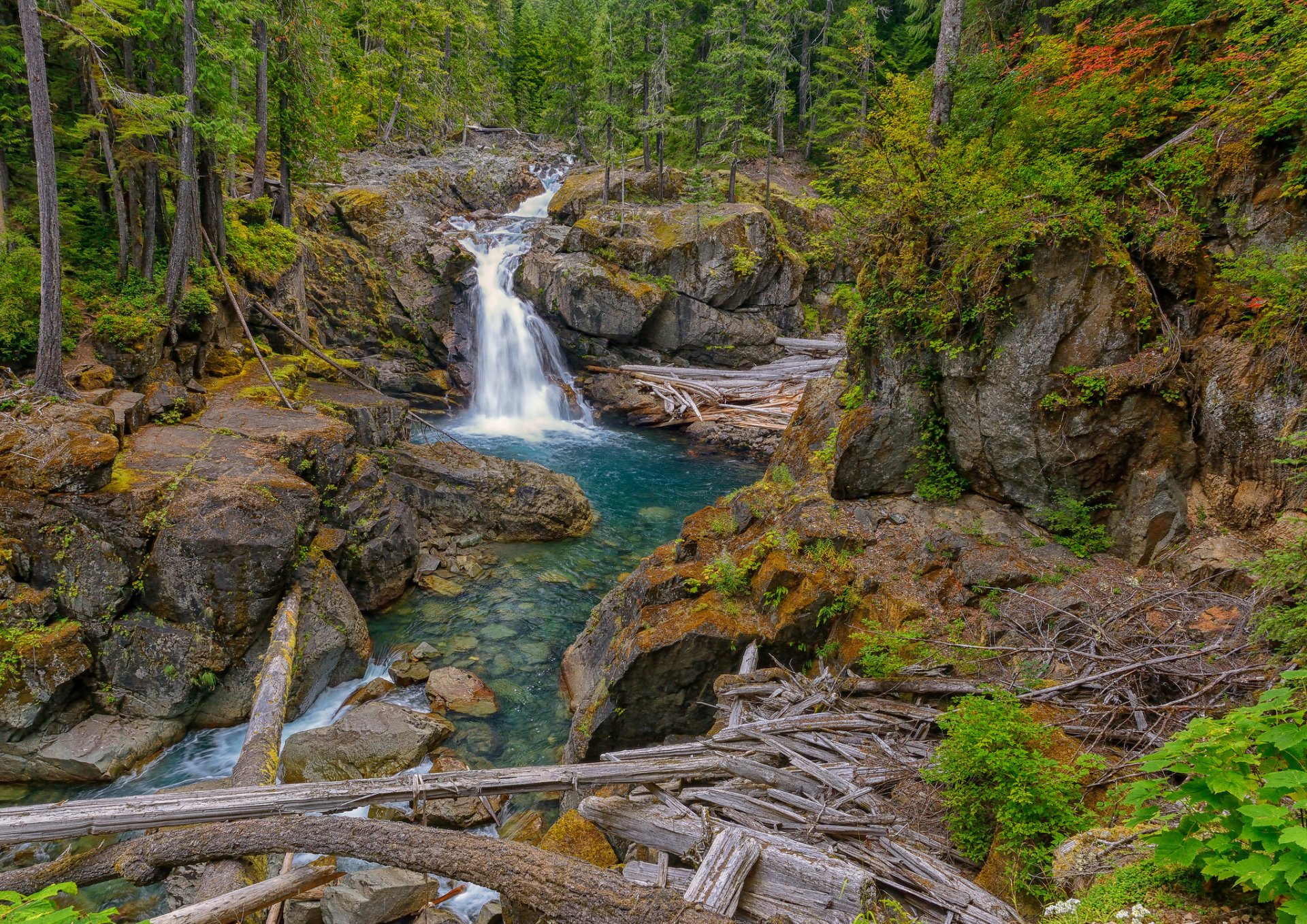 ilver falls packwood washington wasserfall fluss felsen wald