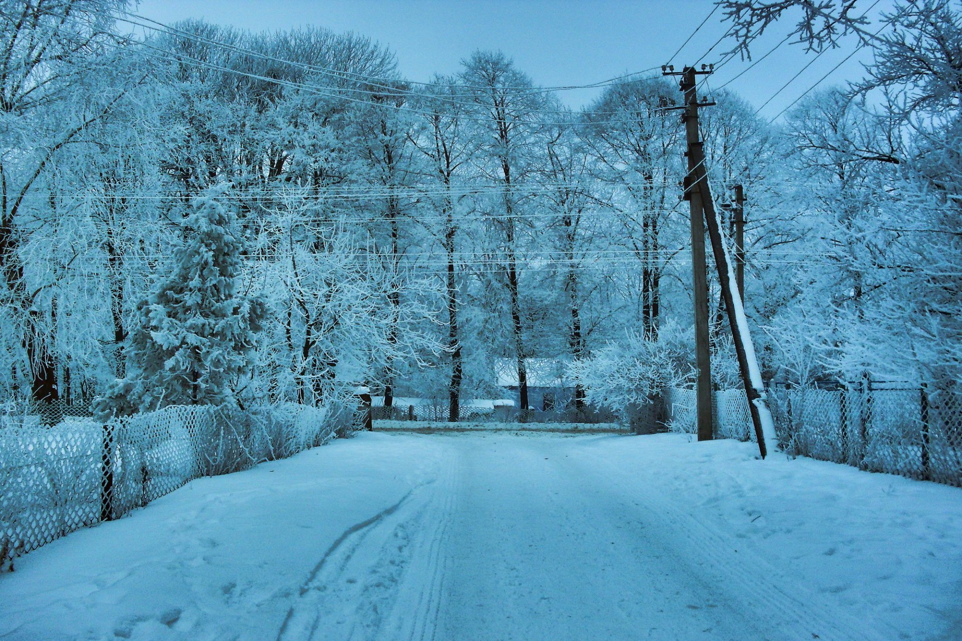 winter schnee bäume drähte straße landschaft