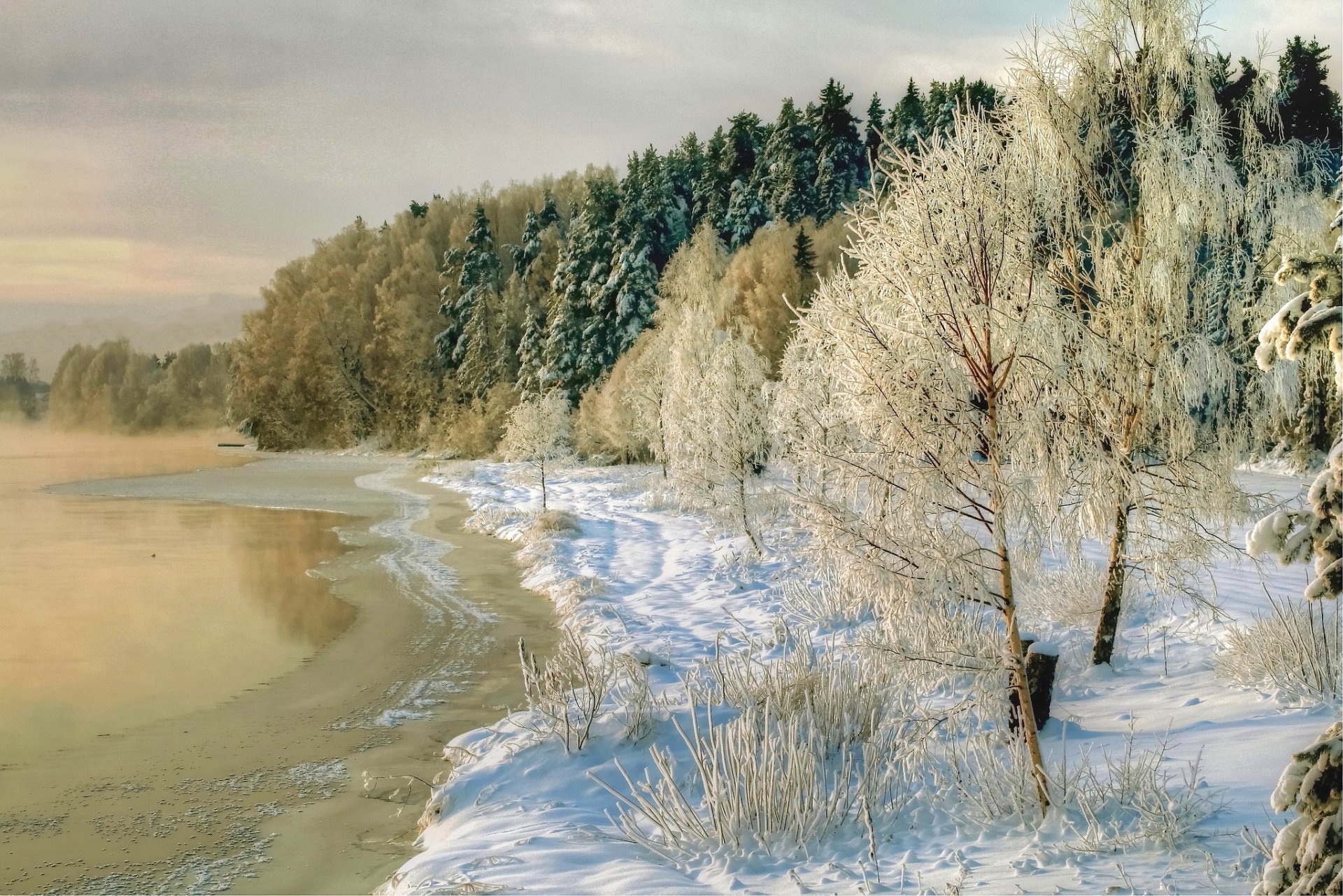 winter fluss küste bäume schnee natur foto