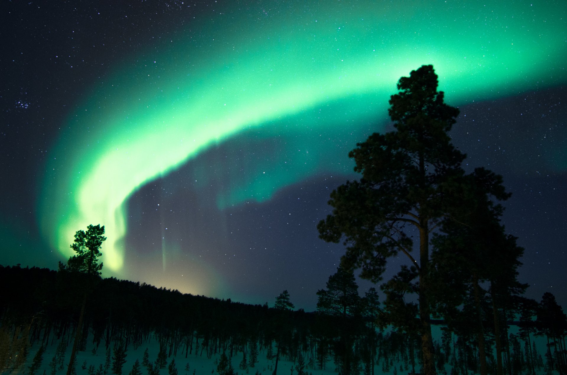 finland night sky star northern lights tree snow