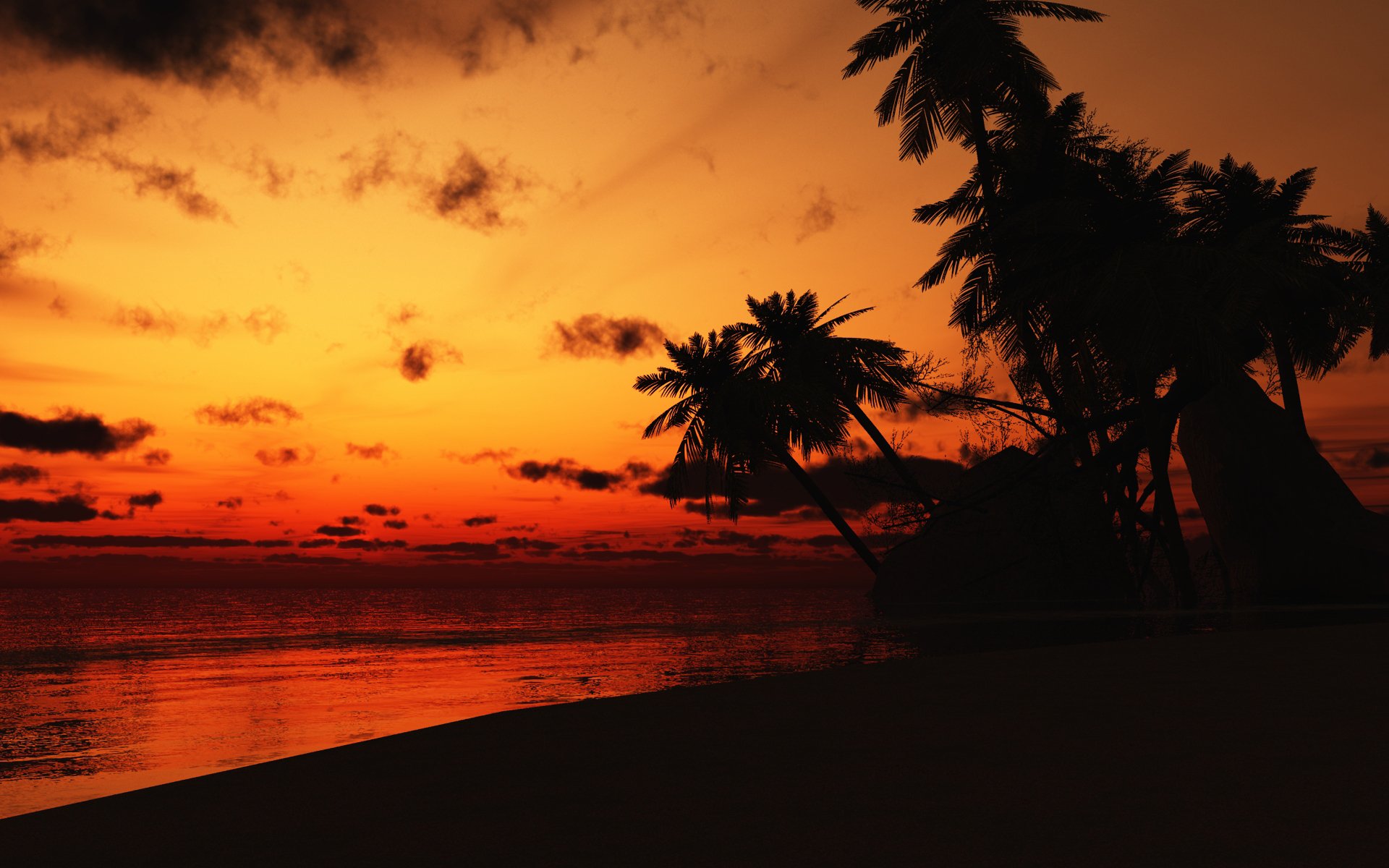 coucher de soleil soir costa rica palmiers côte mer nuages