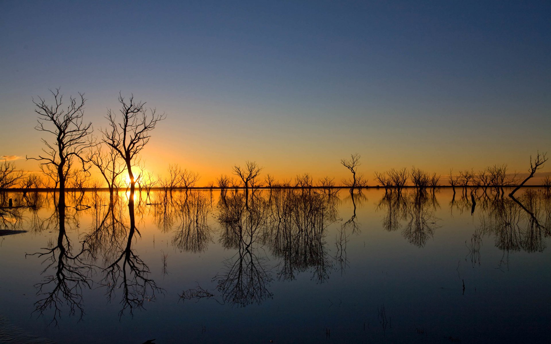 cielo tarde puesta de sol derrame árboles agua inundación primavera reflexión