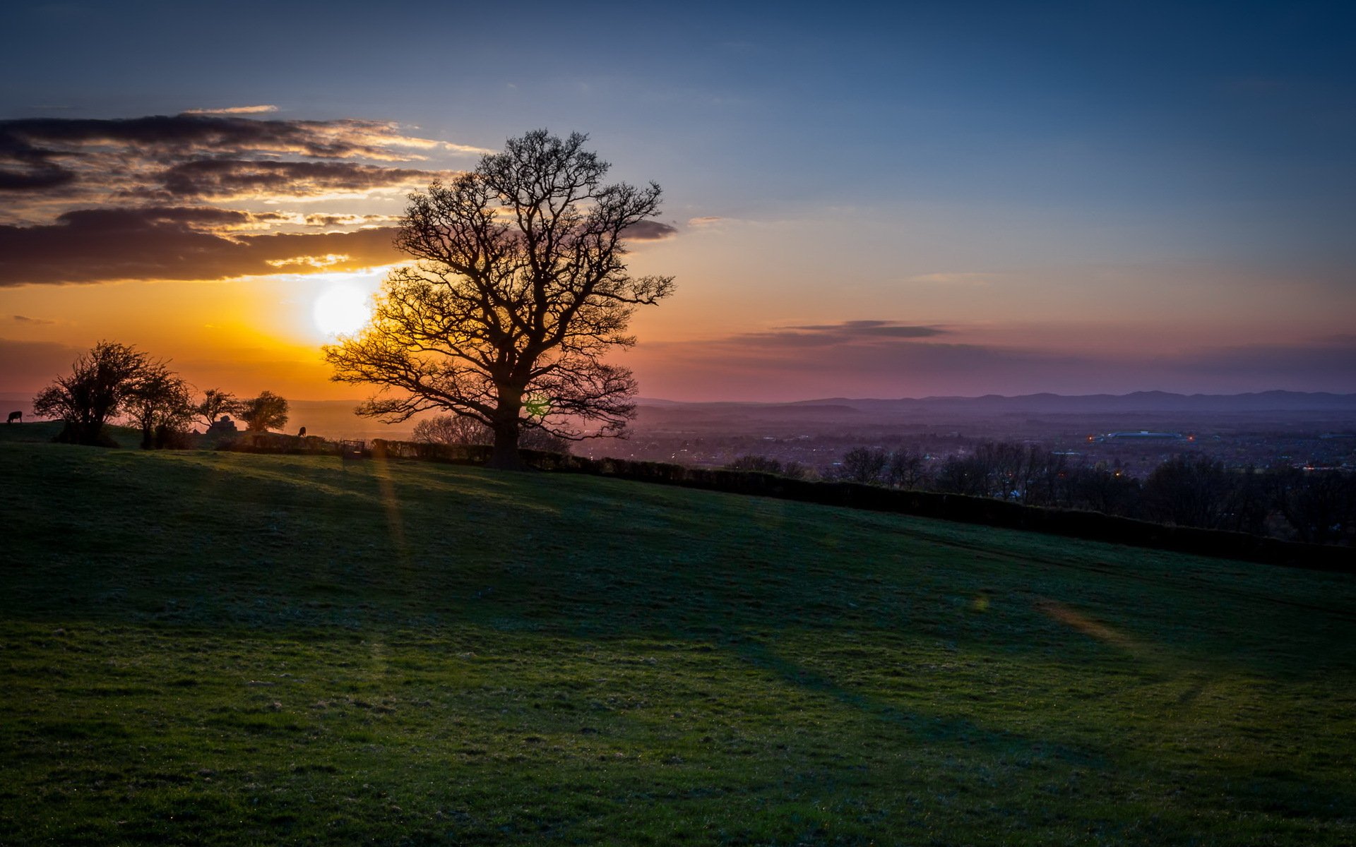 coucher de soleil arbre paysage