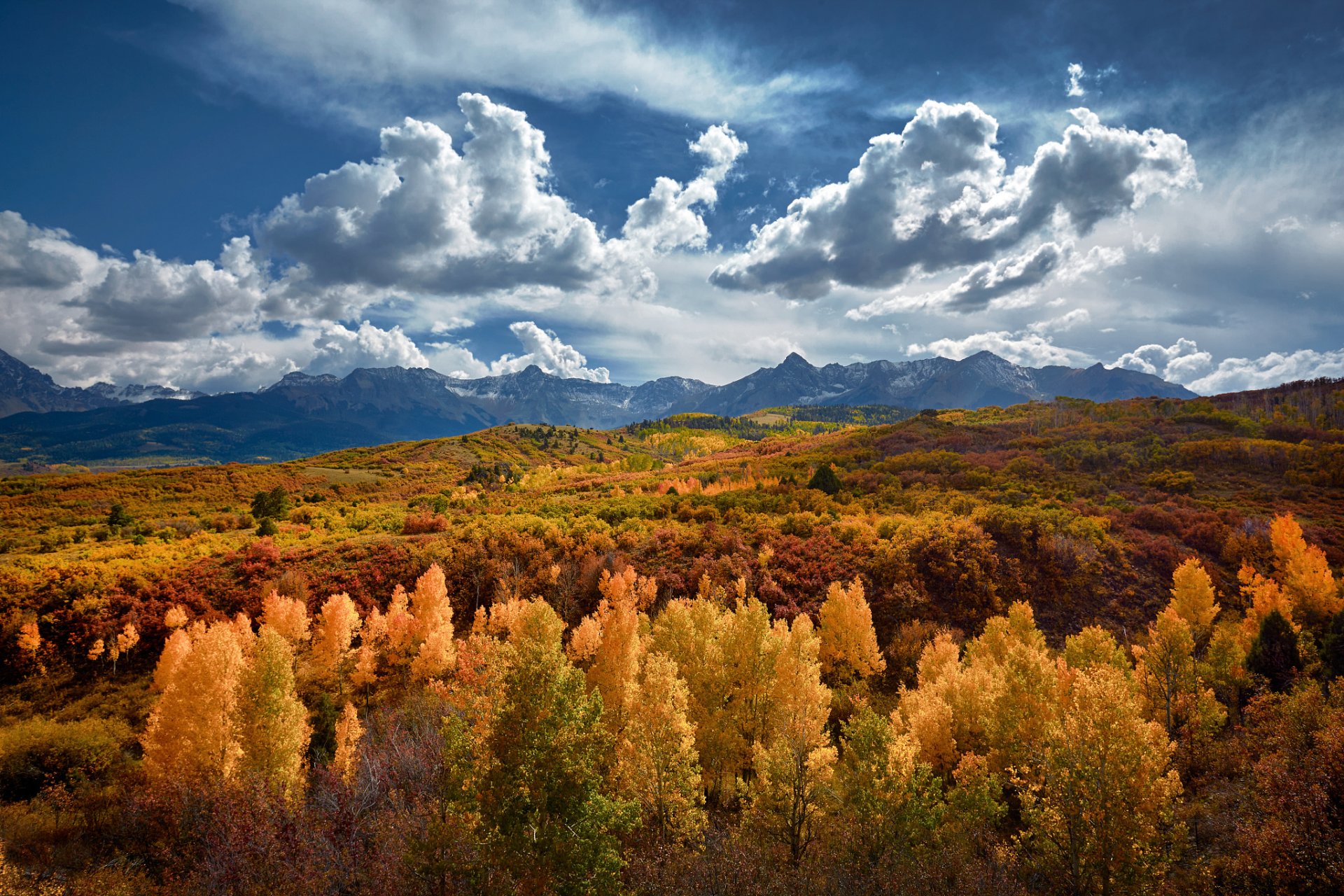 united states state colorado mountain autumn gold forest