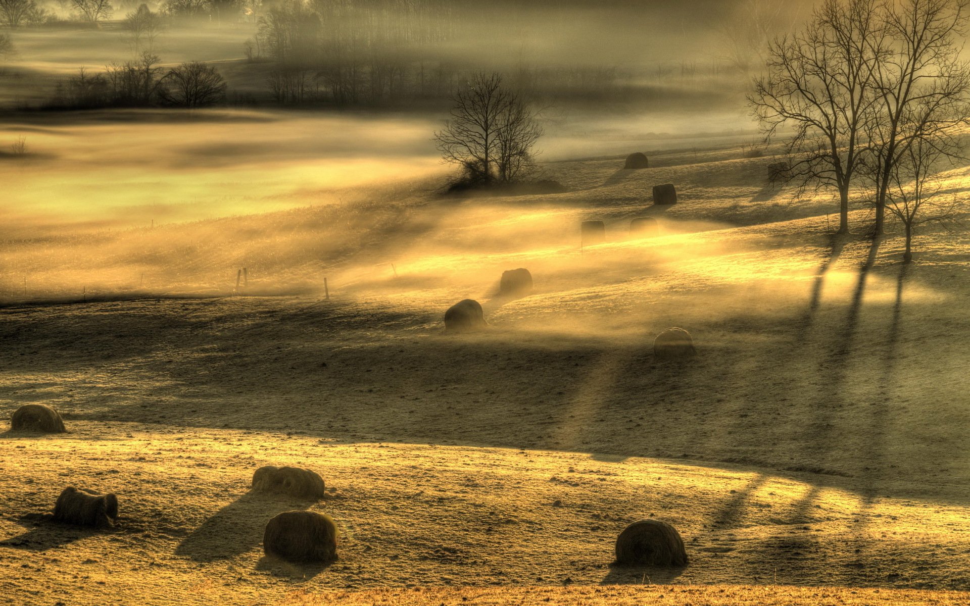 mattina campo nebbia paesaggio luce