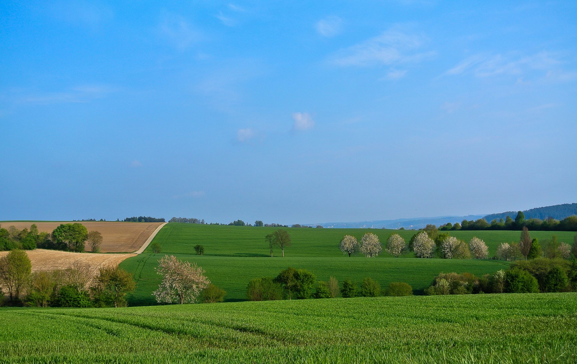 ciel nuages collines champ arbres