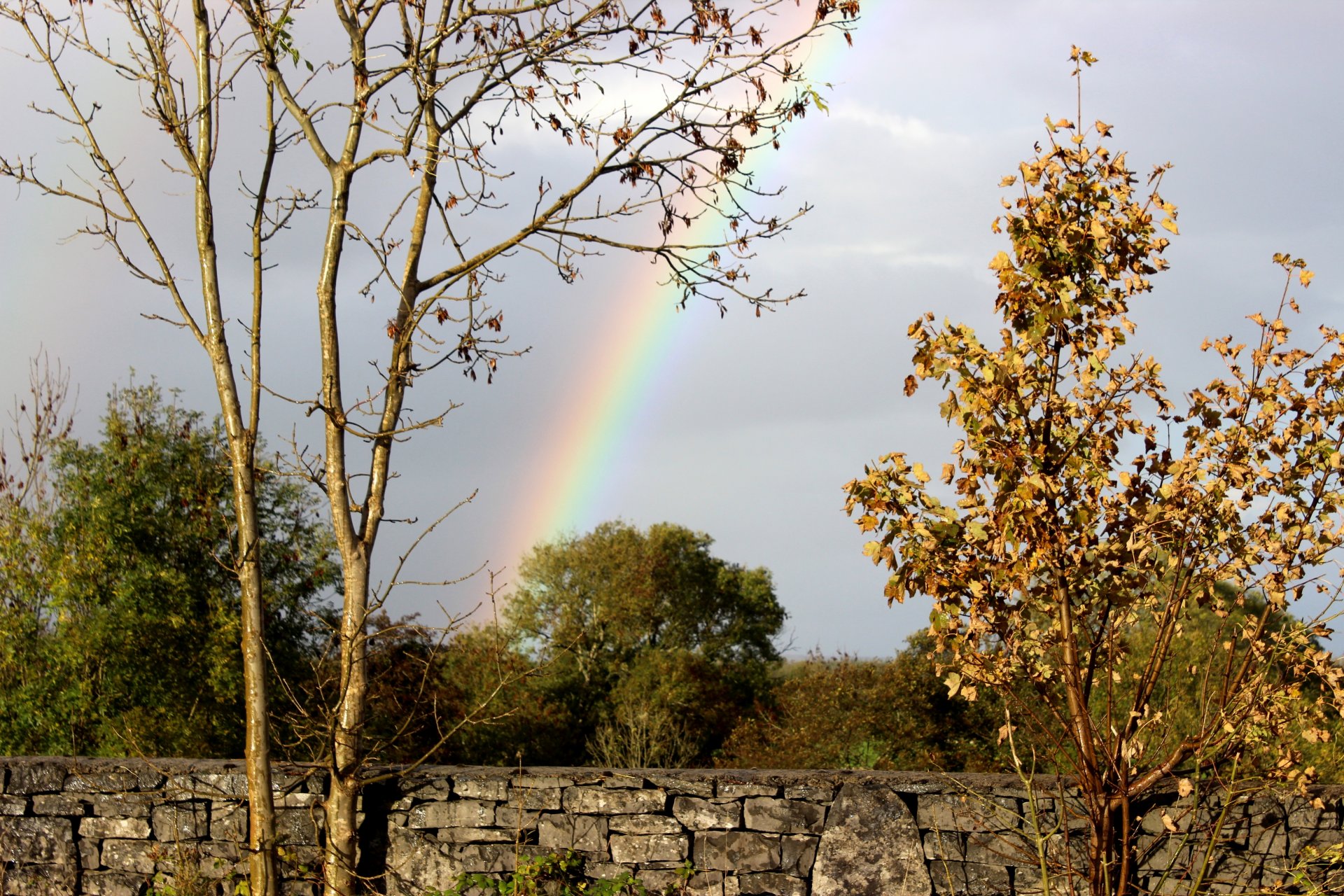 wall stone tree foliage sky rainbow