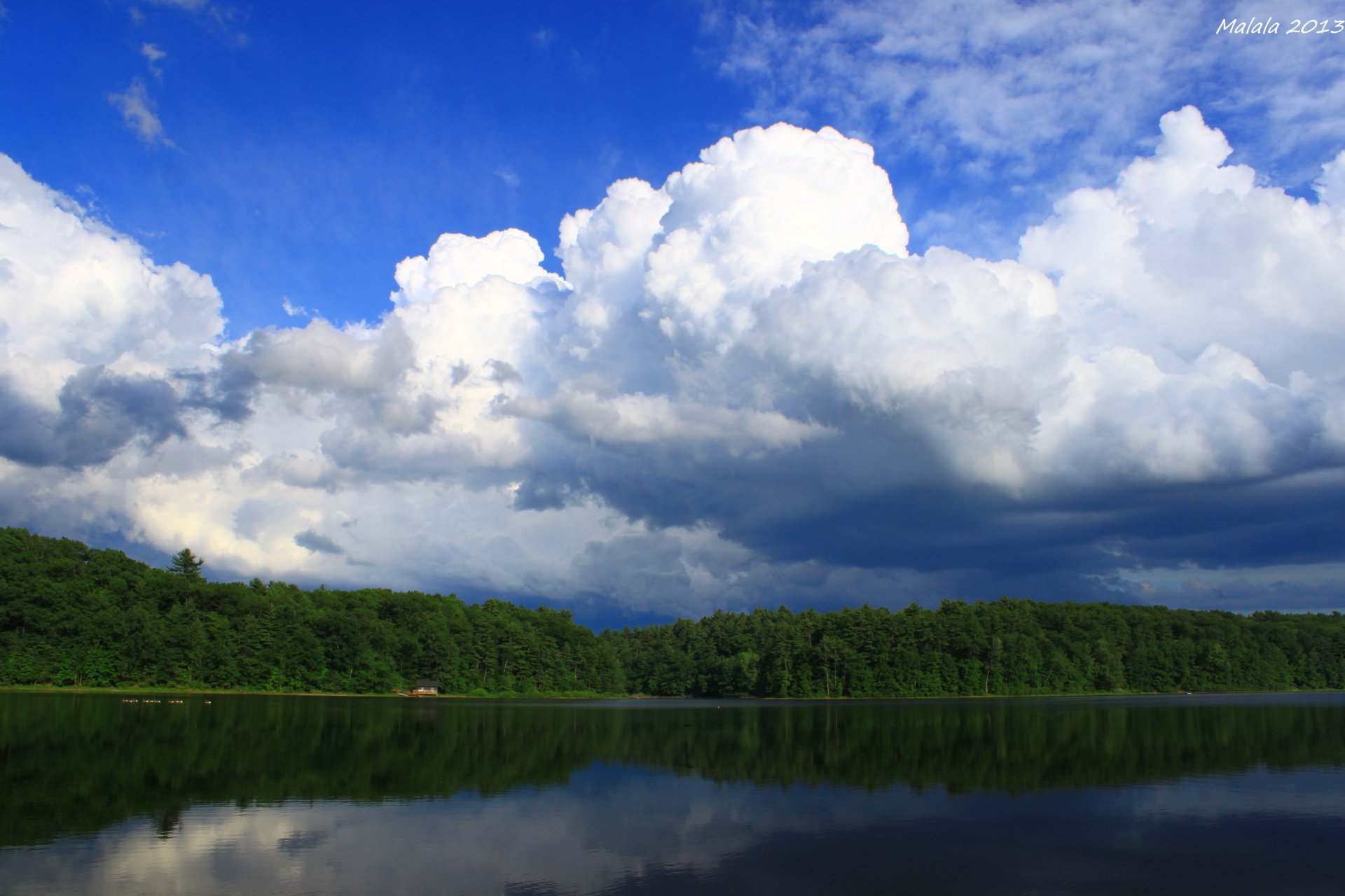 paesaggio acqua riflessione alberi cielo nuvole natura