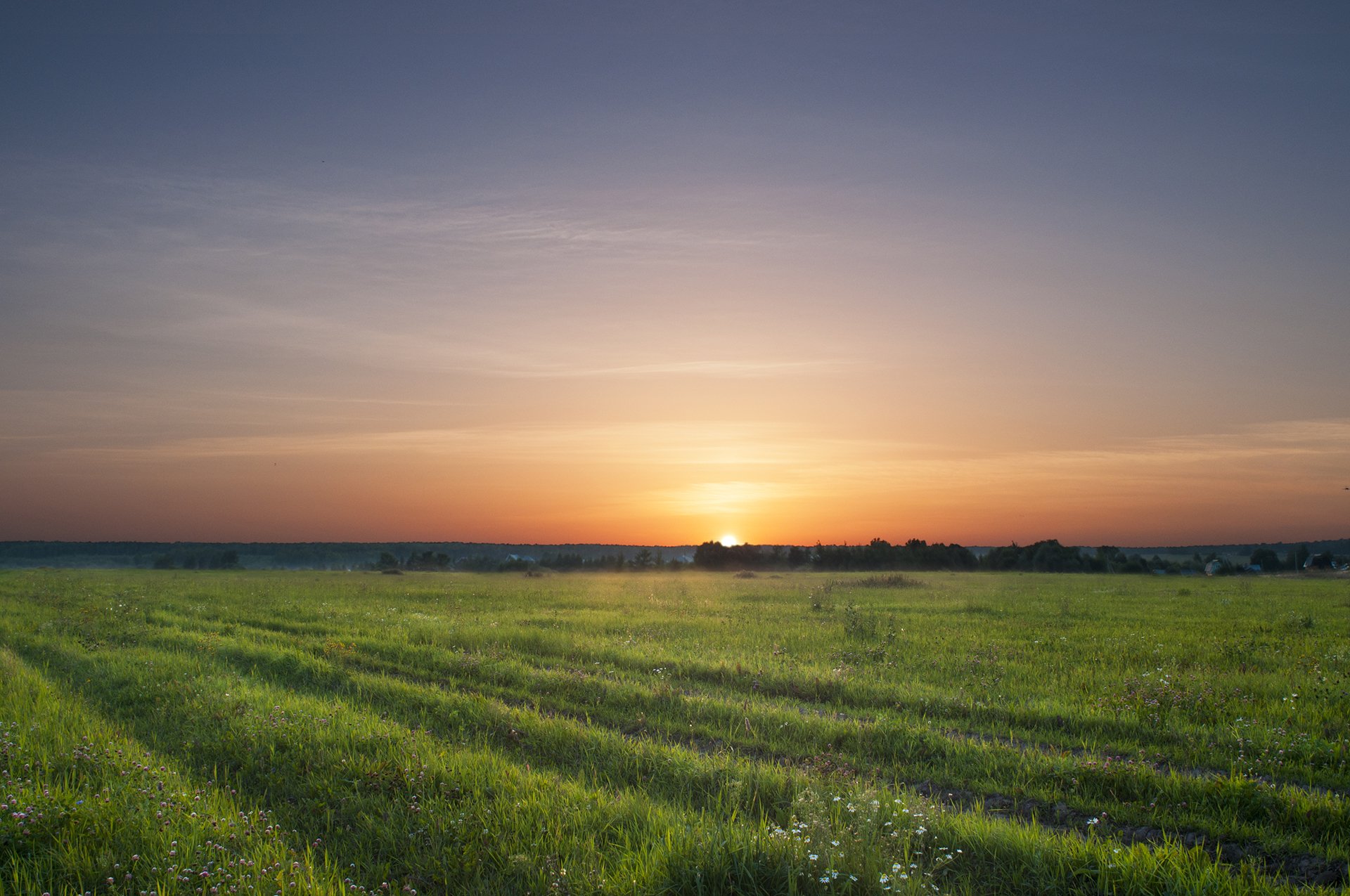 campo cielo puesta de sol flores árboles pueblo pueblo sol