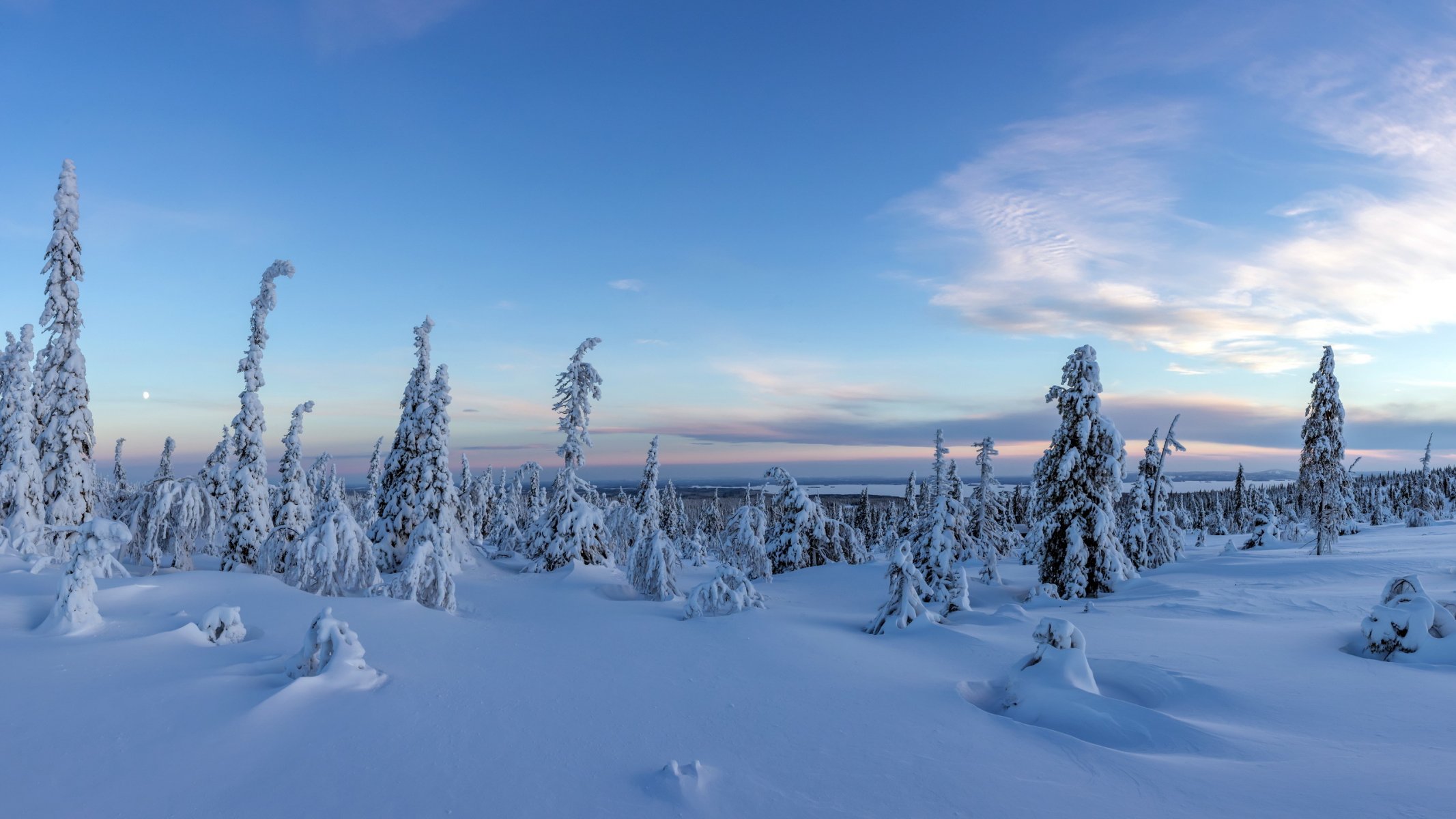 las śnieg finlandia