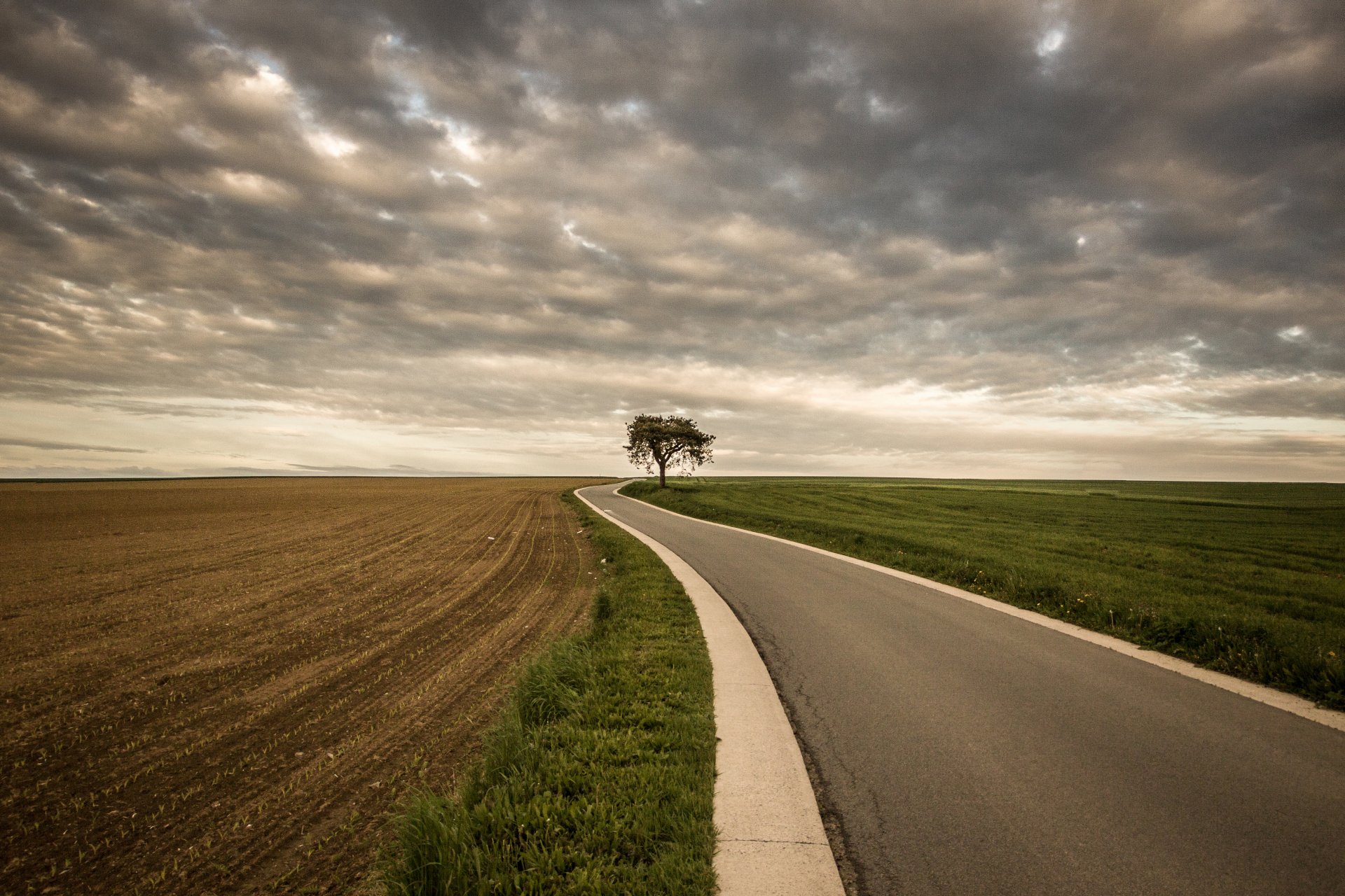 straße feld baum graue wolken sturm