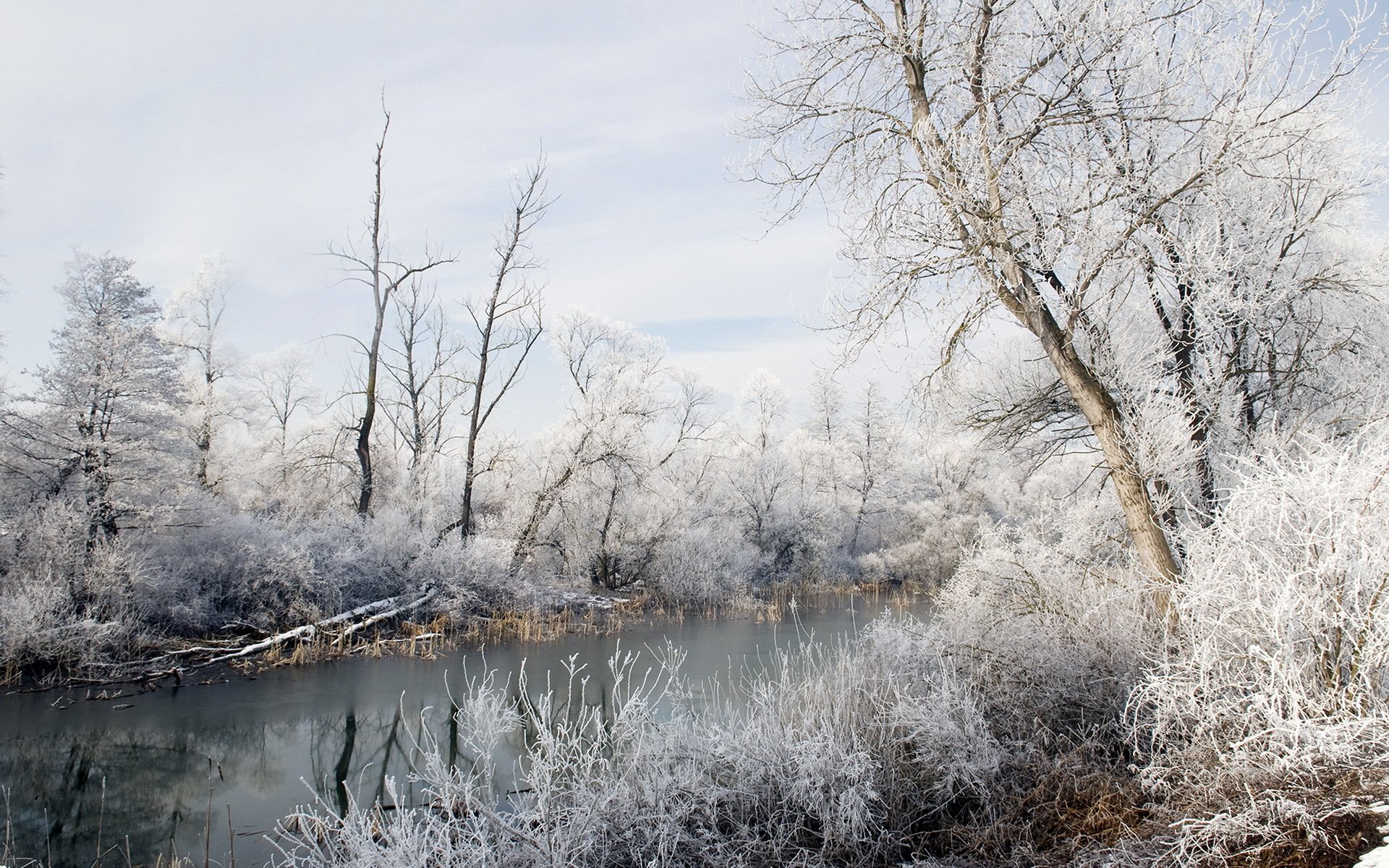 winter natur schnee fluss