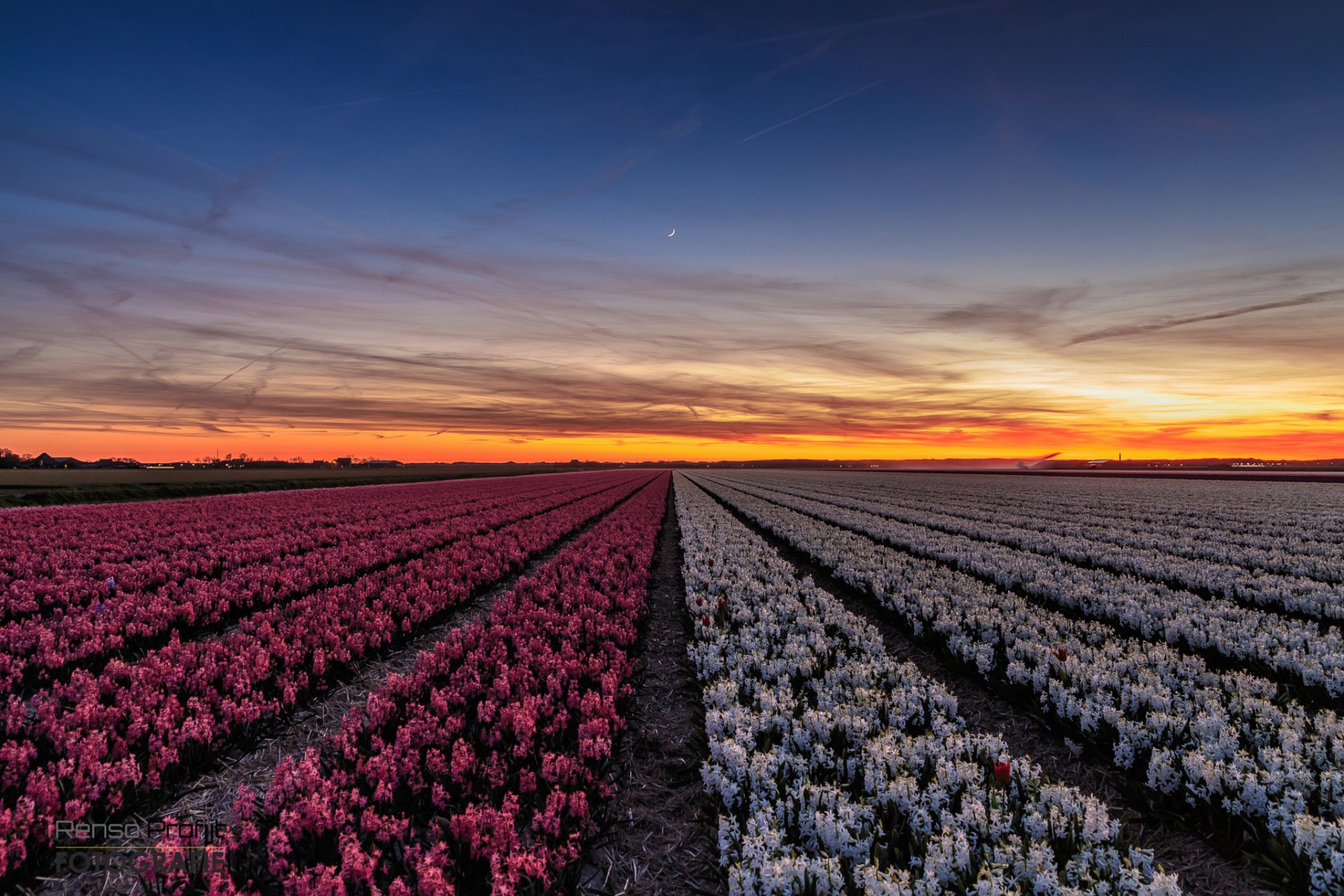 pays-bas province hollande du nord ville callantsoog soirée coucher de soleil champ couleurs