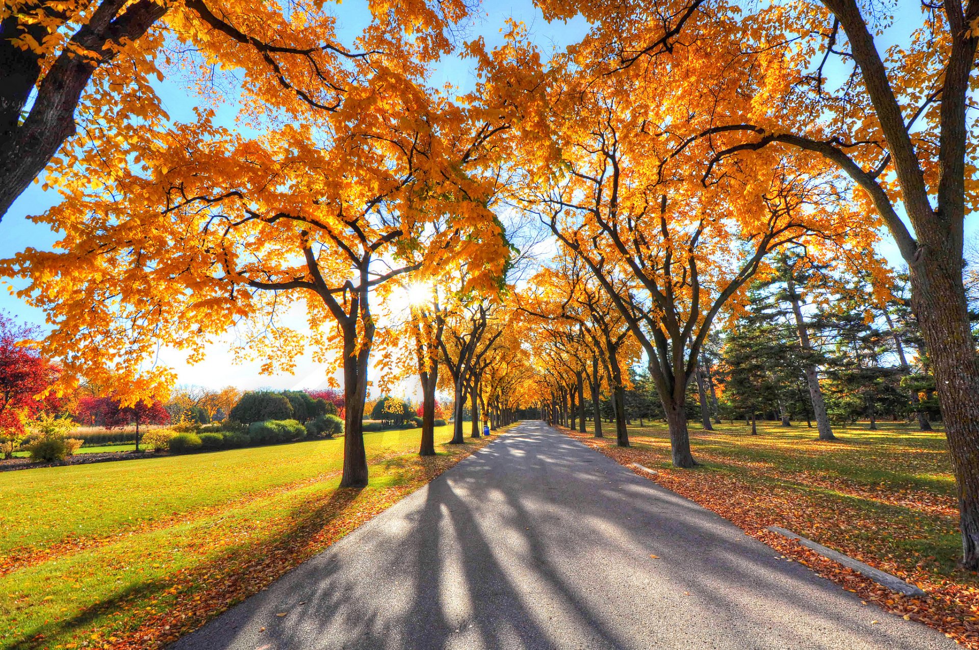 himmel strahlen park gasse bäume herbst gras blätter