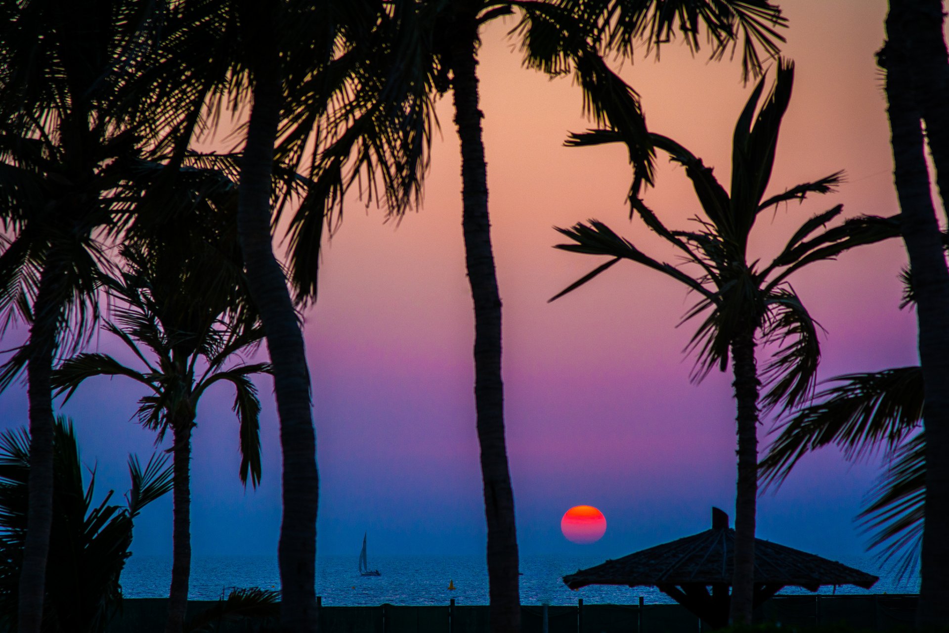 ky sea sunset sun silhouette palm boat sail