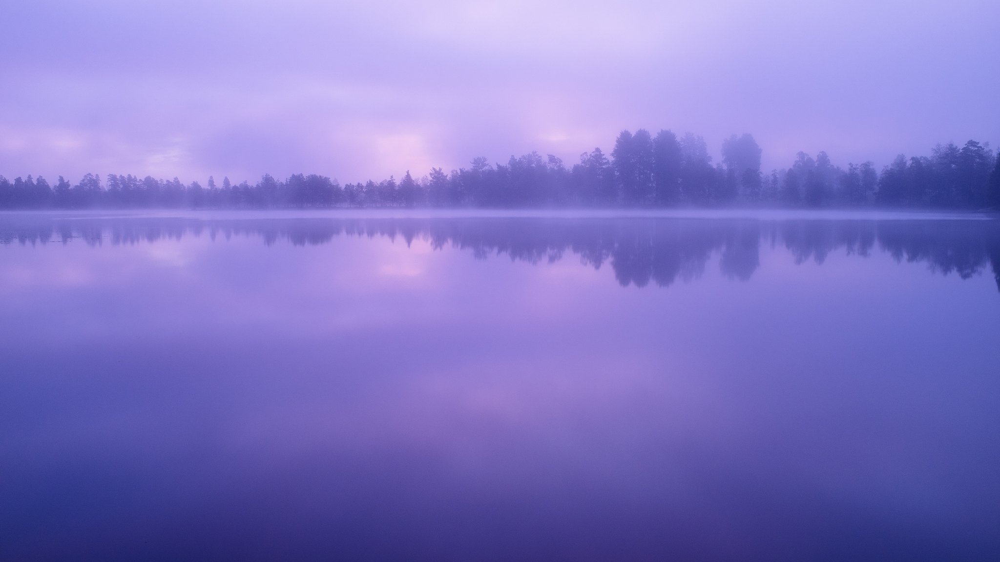 lake water forest tree sky cloud