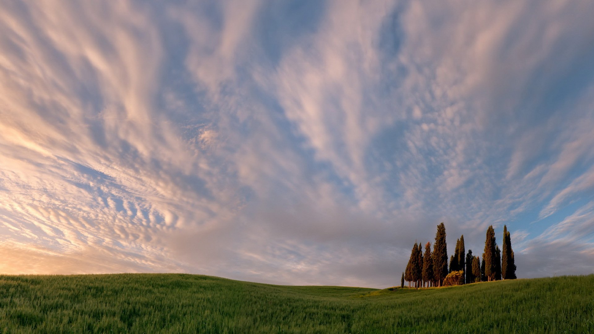 campo cielo paesaggio