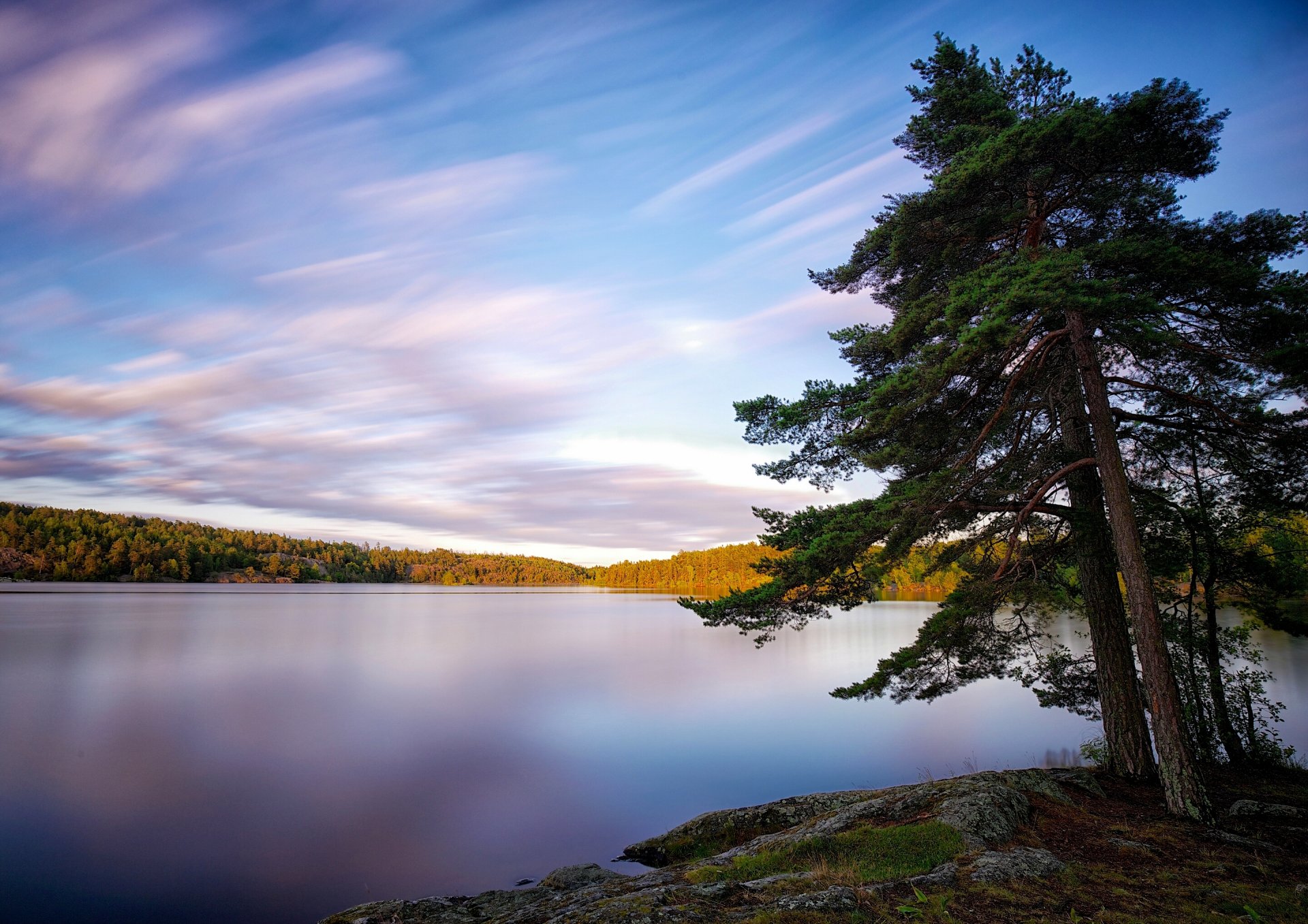 lake källtorpssjön szwecja jezioro drzewa