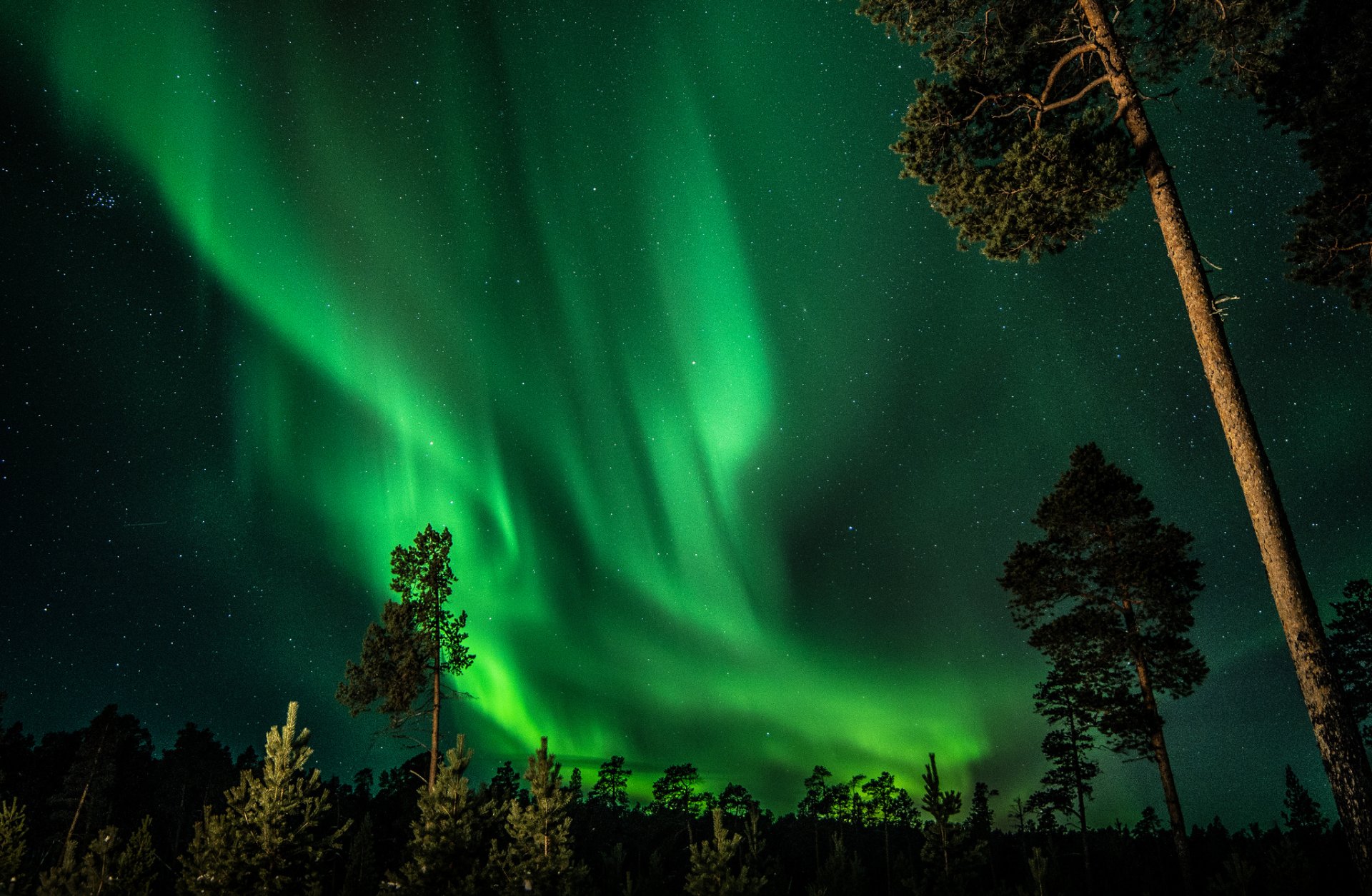 finnland nacht himmel sterne nordlichter wald bäume