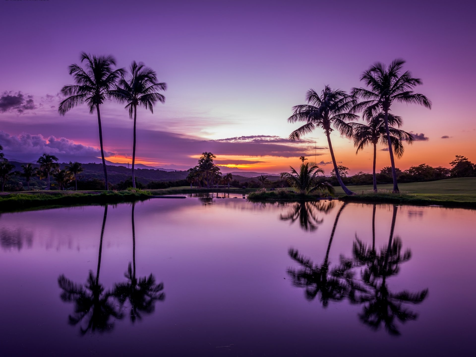 fajardo porto rico tropiques palmiers coucher de soleil eau réflexion