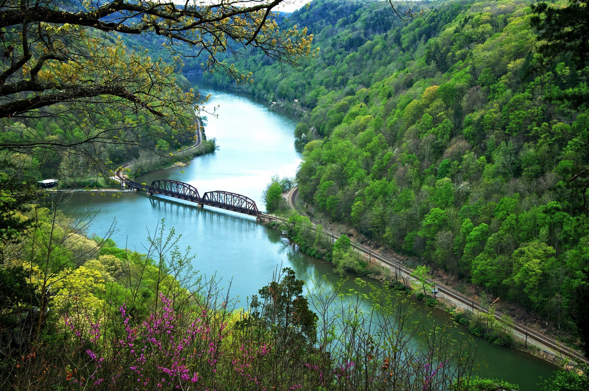 fluss brücke berge wald herbst blumen hang