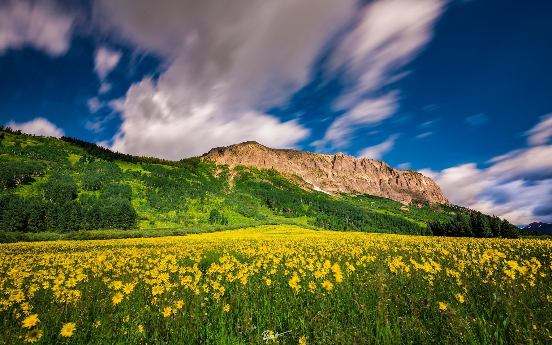 хохлатая бьют mountain resort колорадо горы луг цветы облака