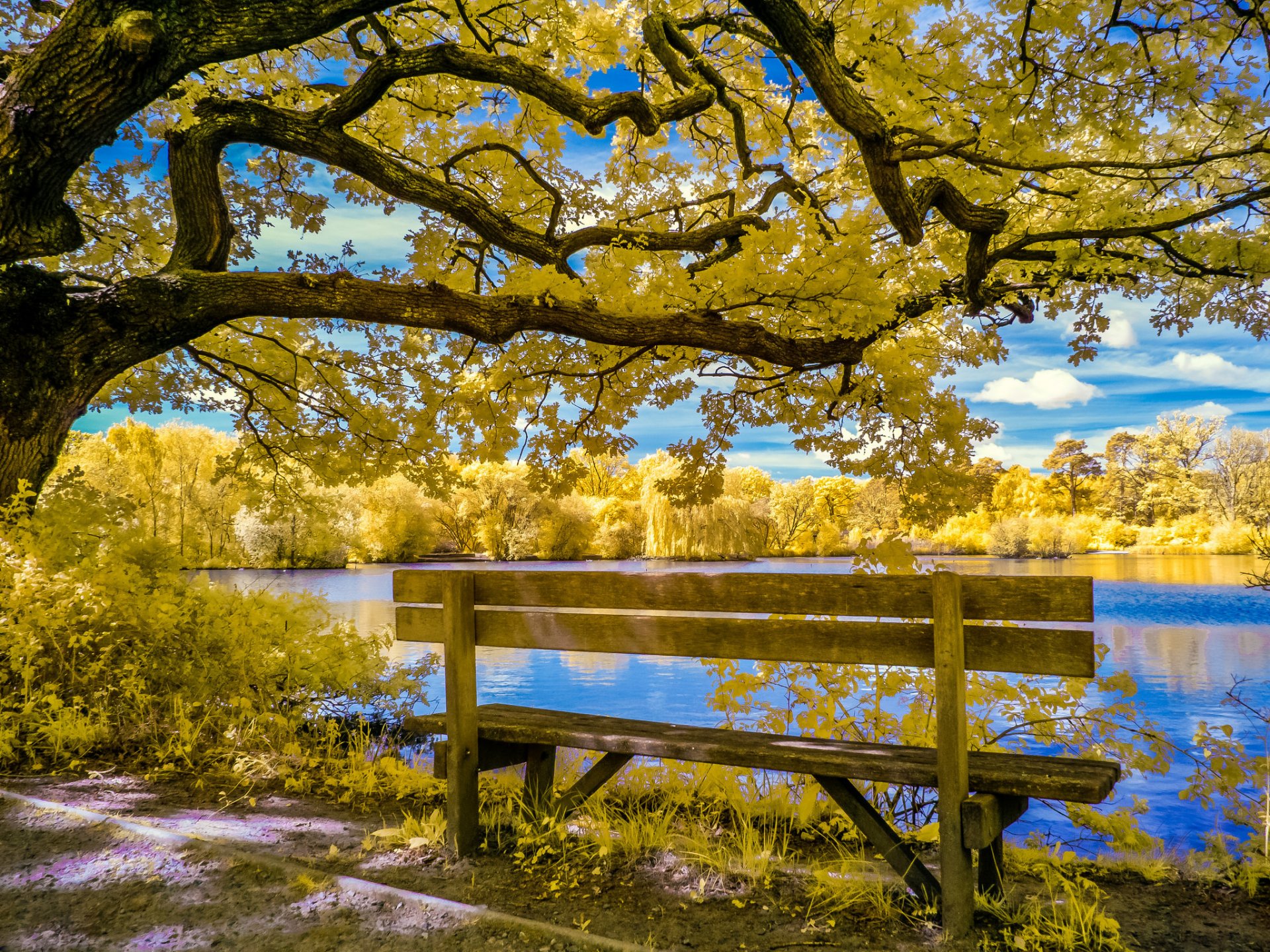 niebo chmury staw park drzewa jesień ławka