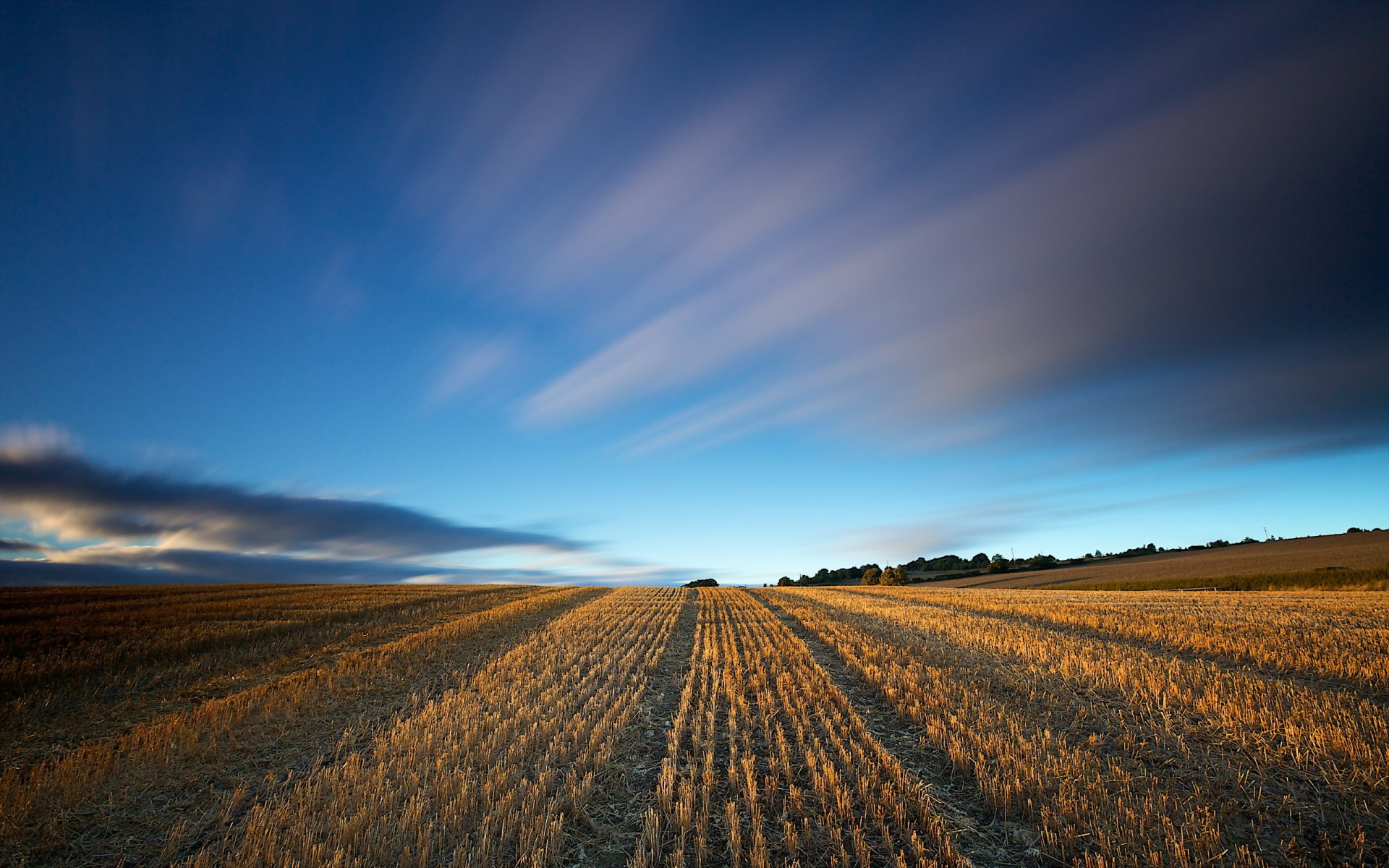 the field sky landscape