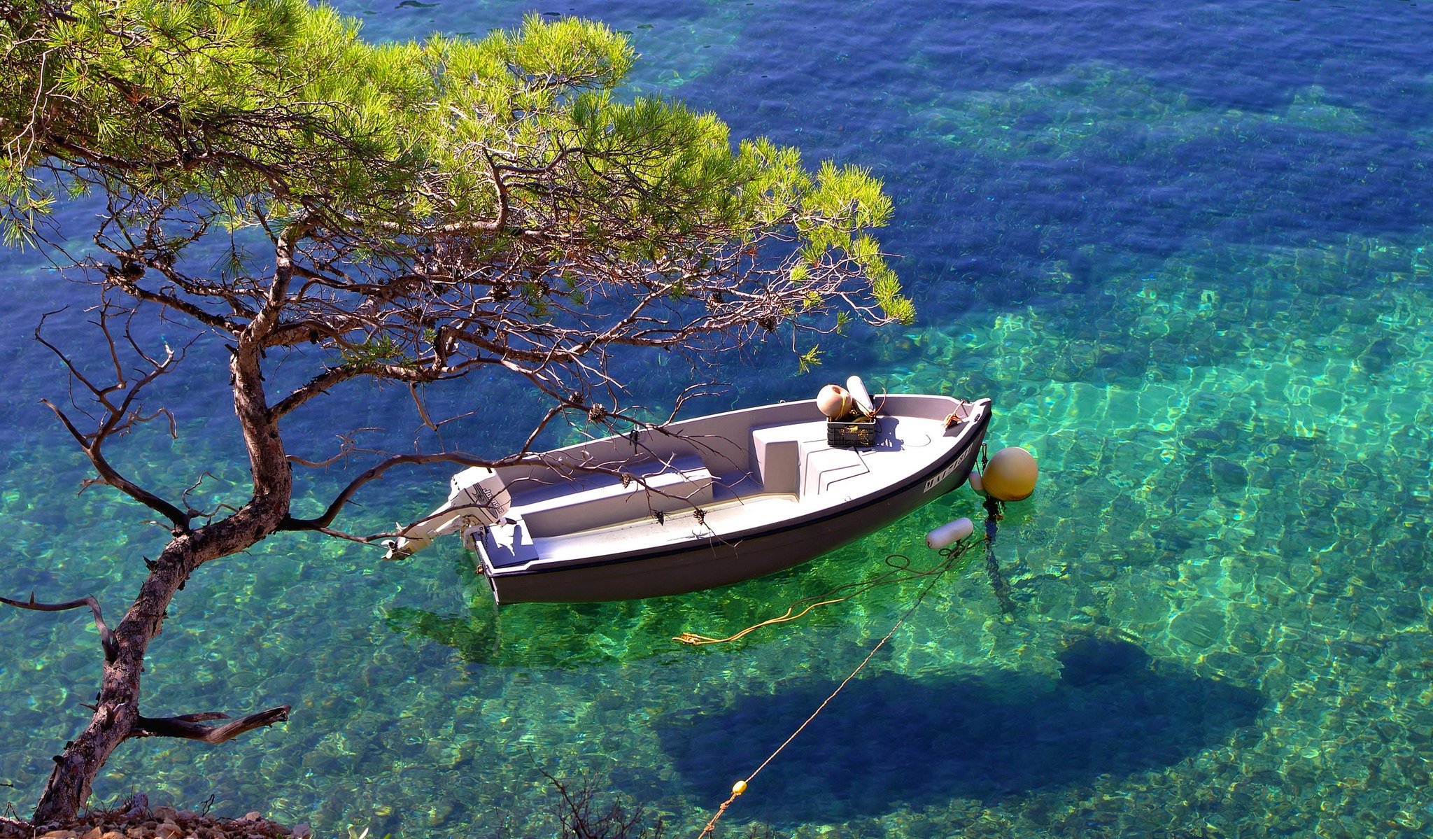 agua transparencia barco sombra árbol bahía