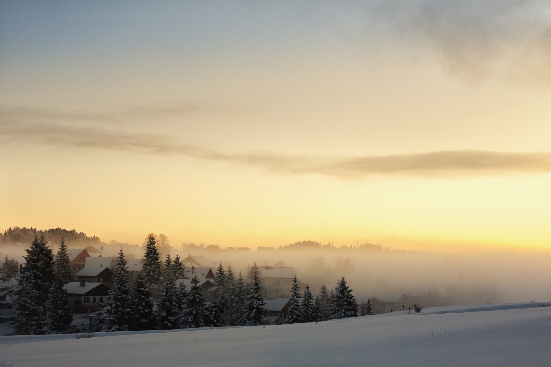 forêt sapin maison village neige matin aube brouillard hiver