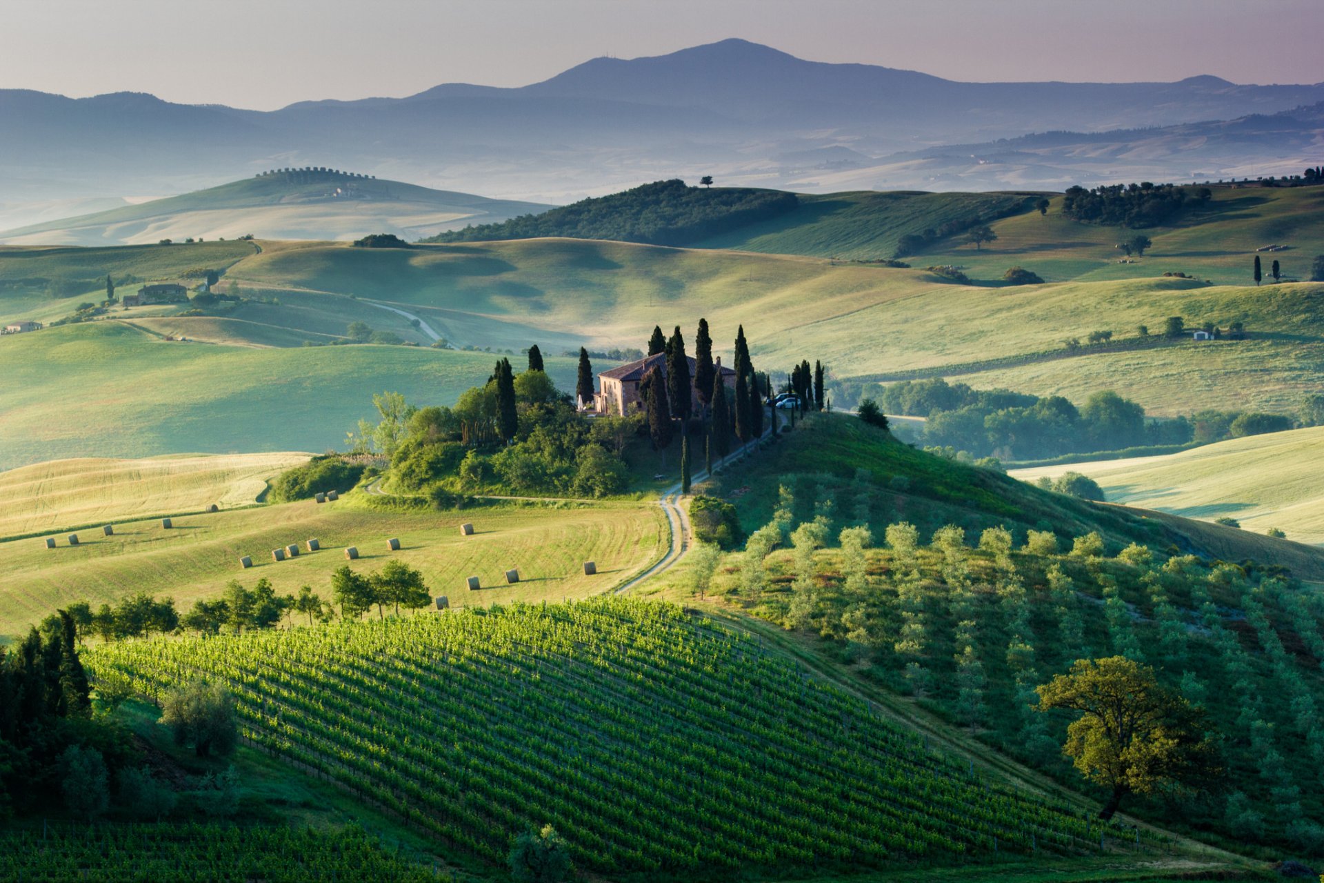 italia toscana campi vigneti alberi casa