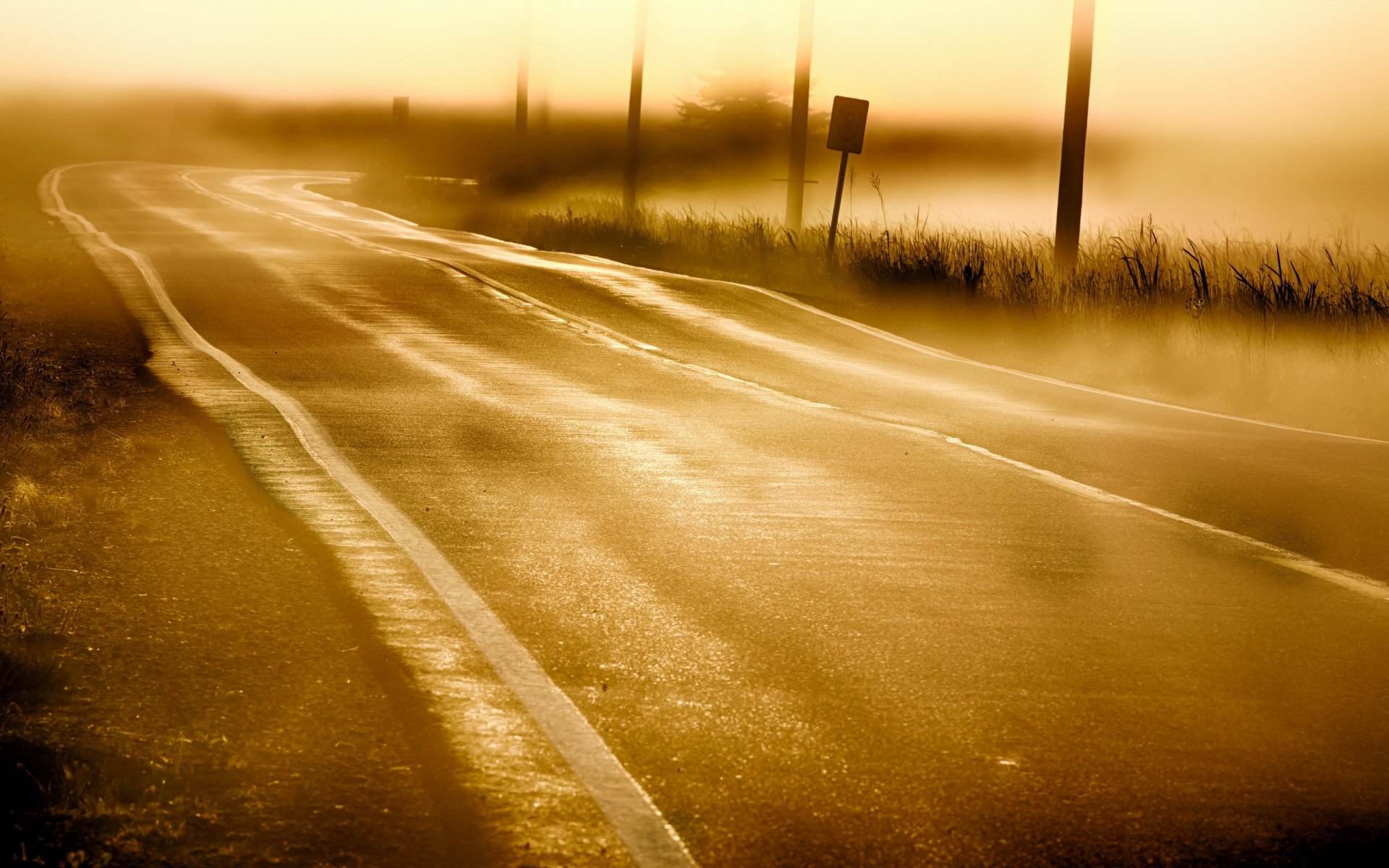 mañana niebla camino paisaje