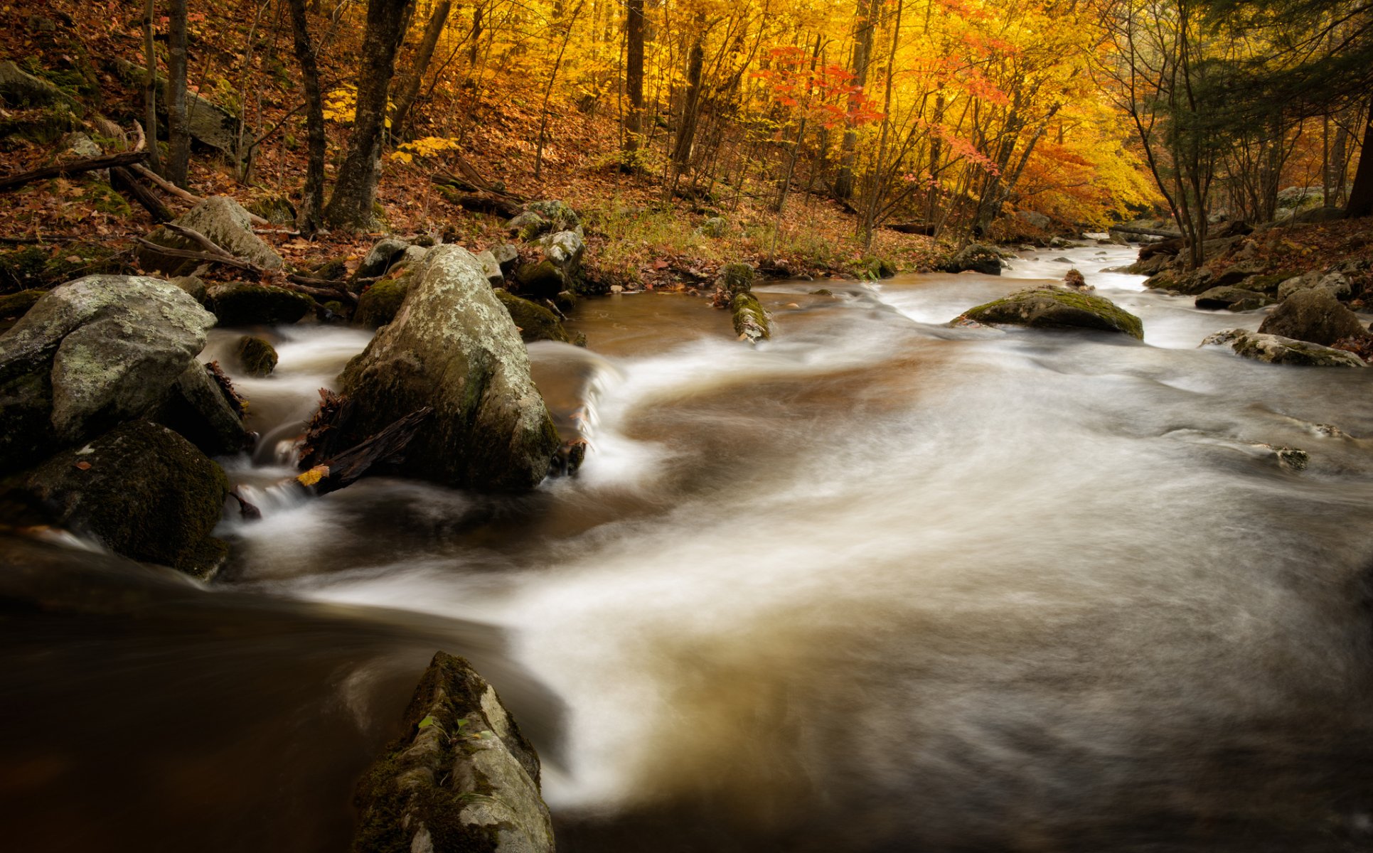 macedonia brooke state park kent connecticut río otoño bosque piedras