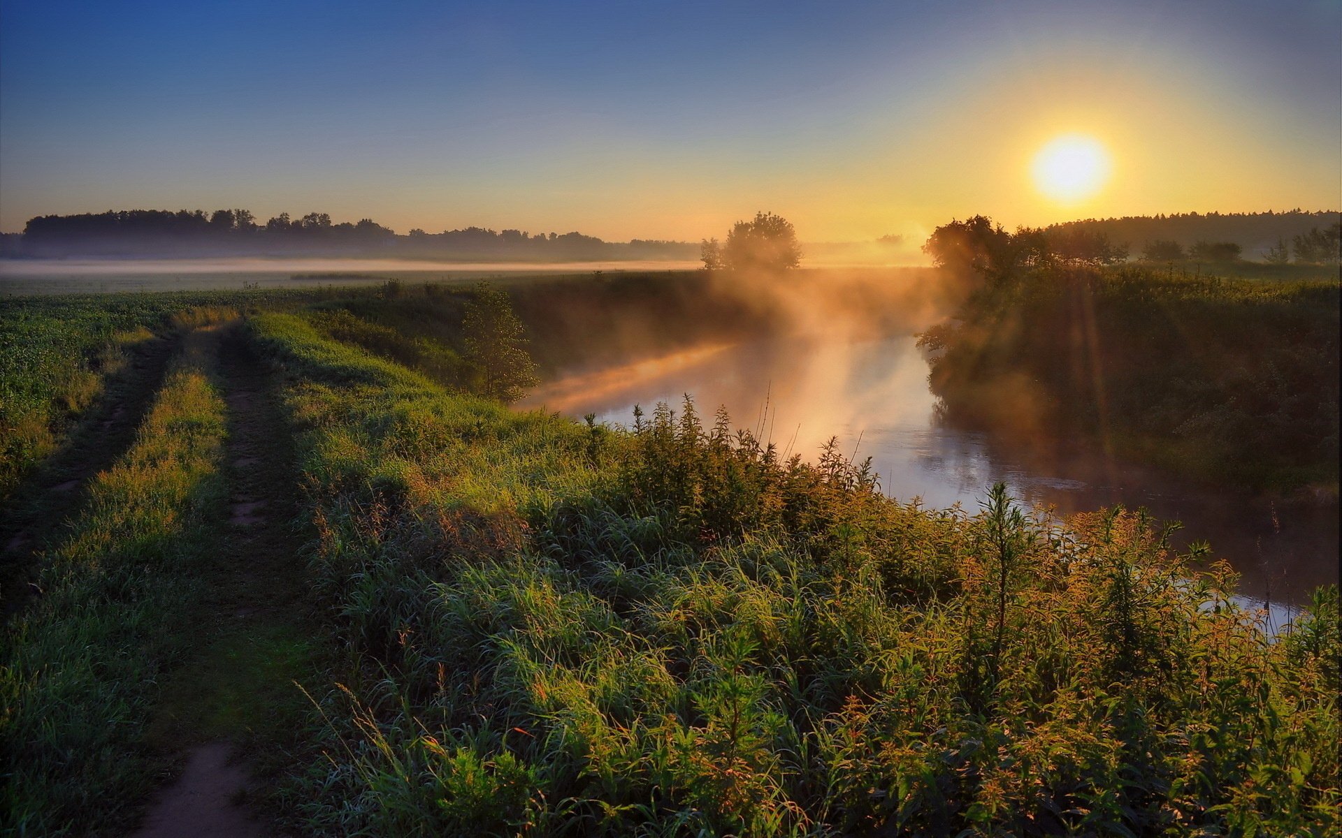 ukraine waldrand schwarzholz fluss morgendämmerung morgen sonne nebel straße bäume gras natur