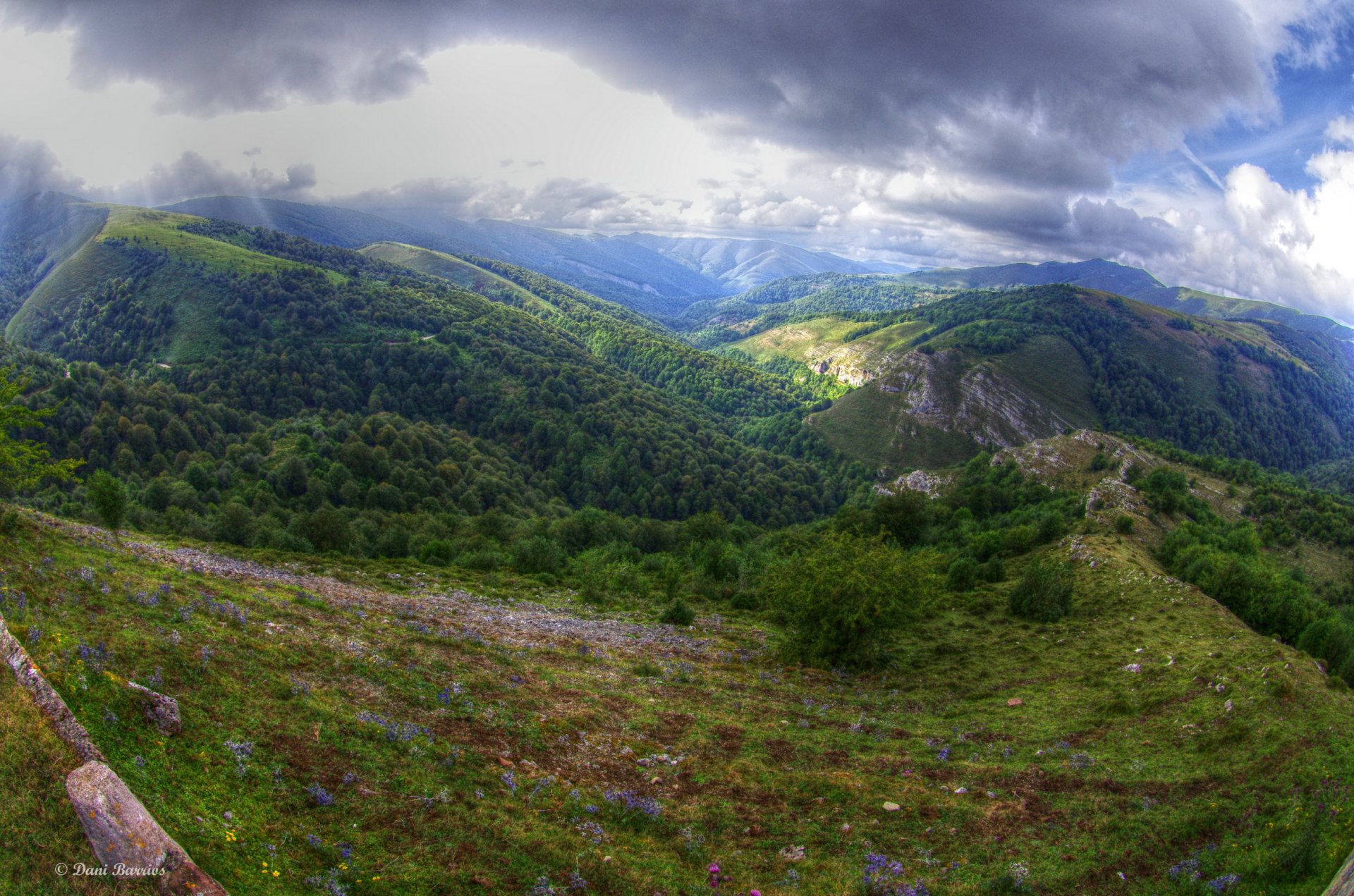 espagne nuages cantabrie ciel forêt montagnes herbe