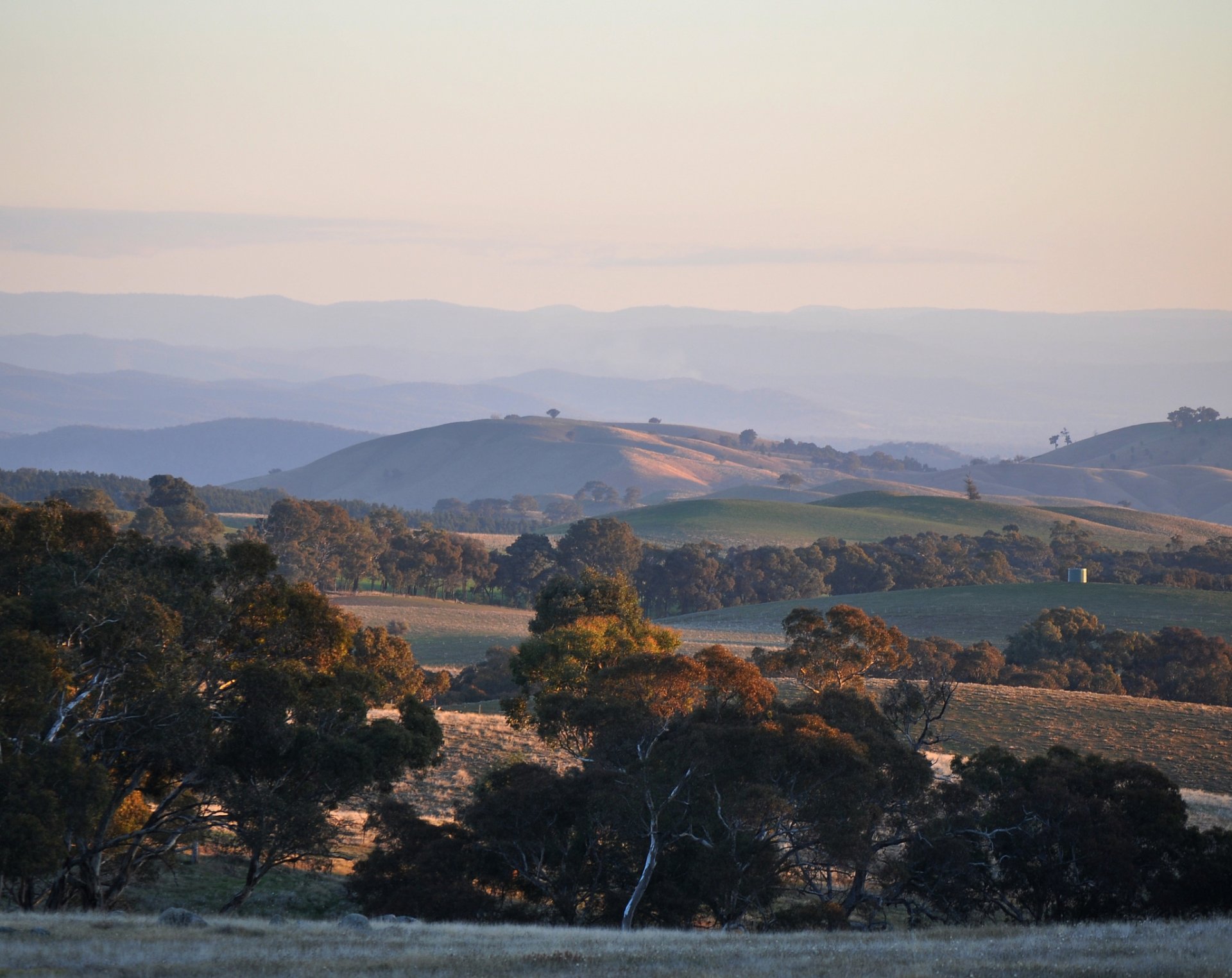 près de beechworth victoria australie collines arbres soirée coucher de soleil