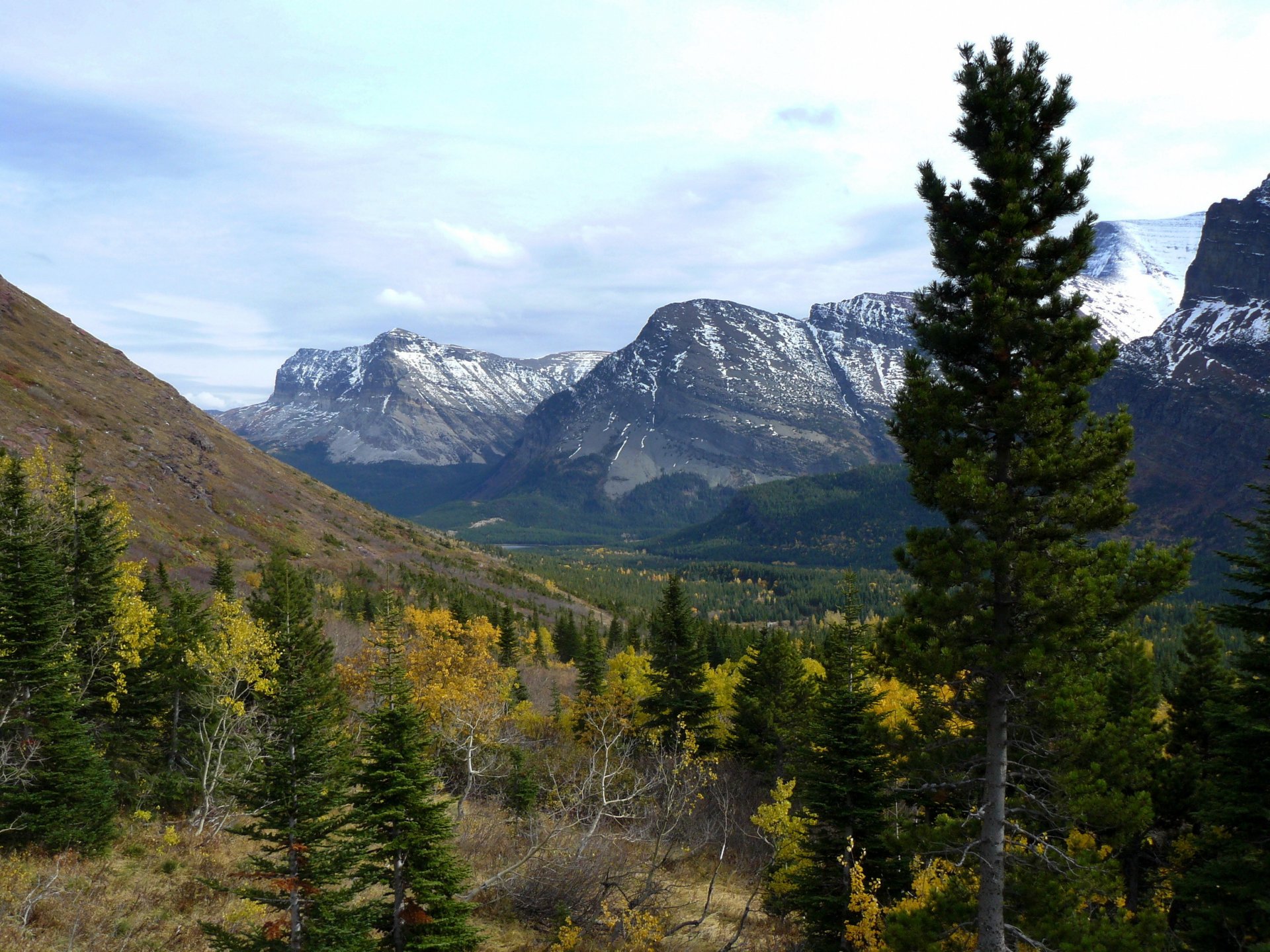 park united states mountain landscape glacier montana tree nature photo