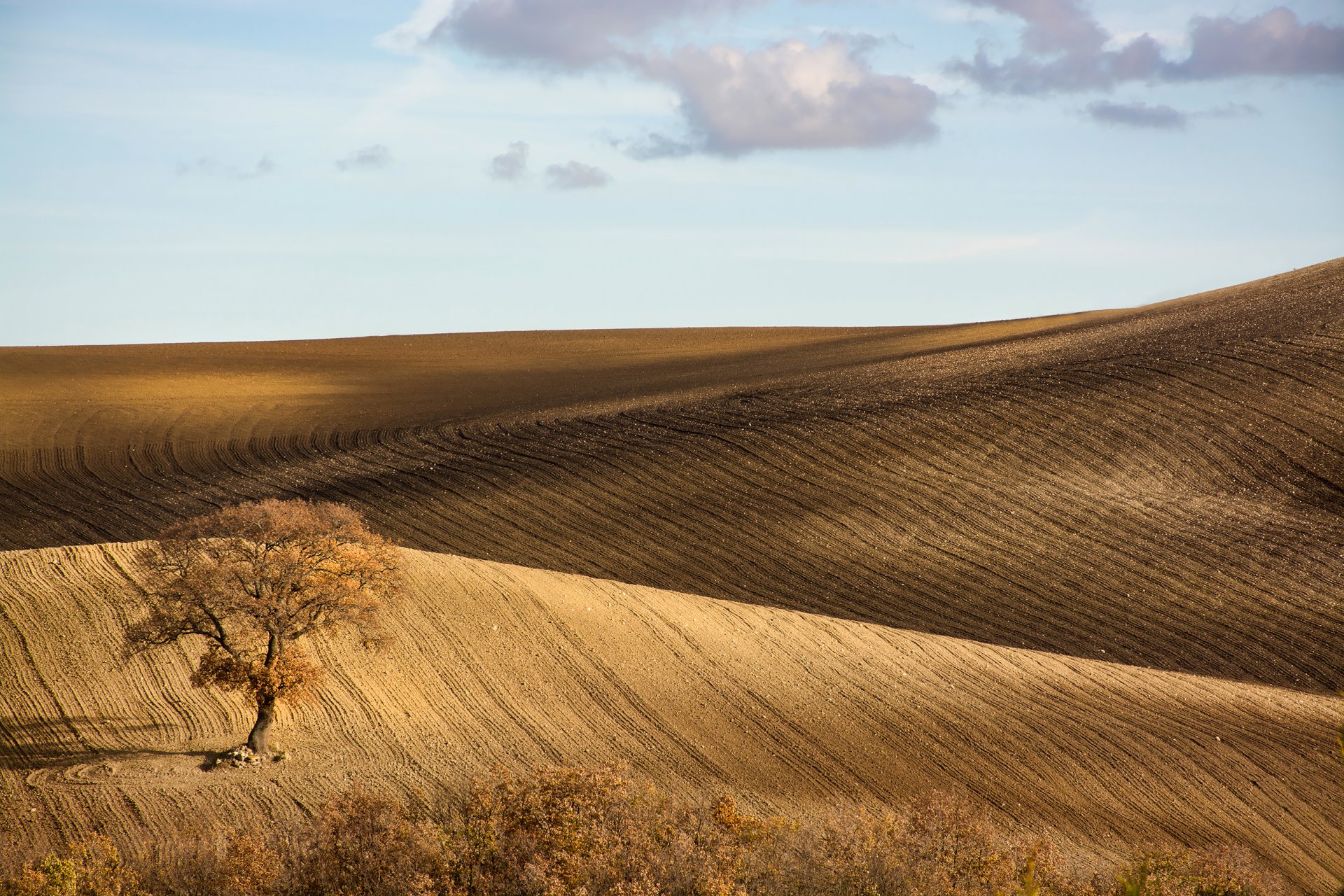 italy monti prenestini sky tree of the field hill