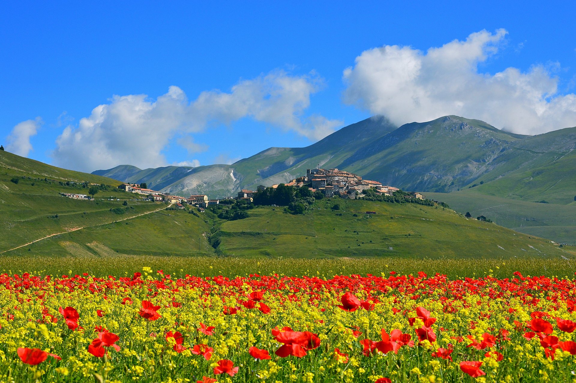 castelluccio di norcia włochy góry pole łąka kwiaty maki osada domy