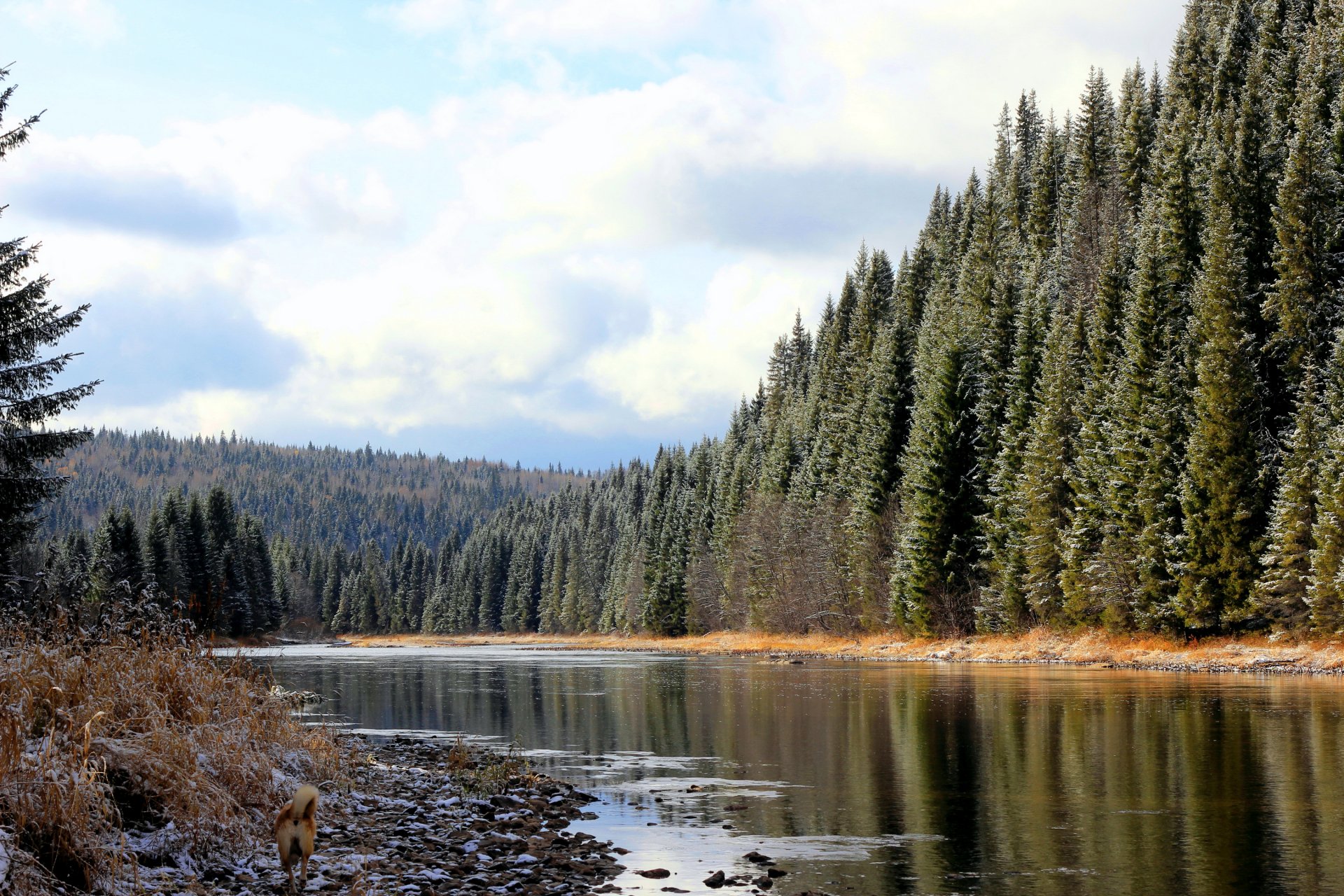 russland region perm koiva wald fluss schnee