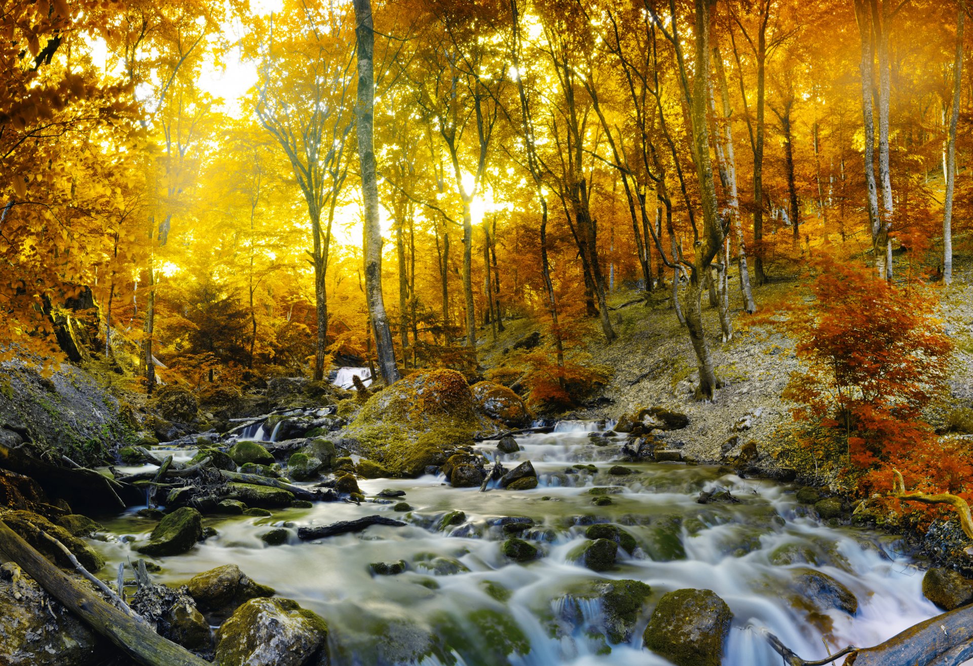 natur landschaft wald bäume fluss wasserfall herbst