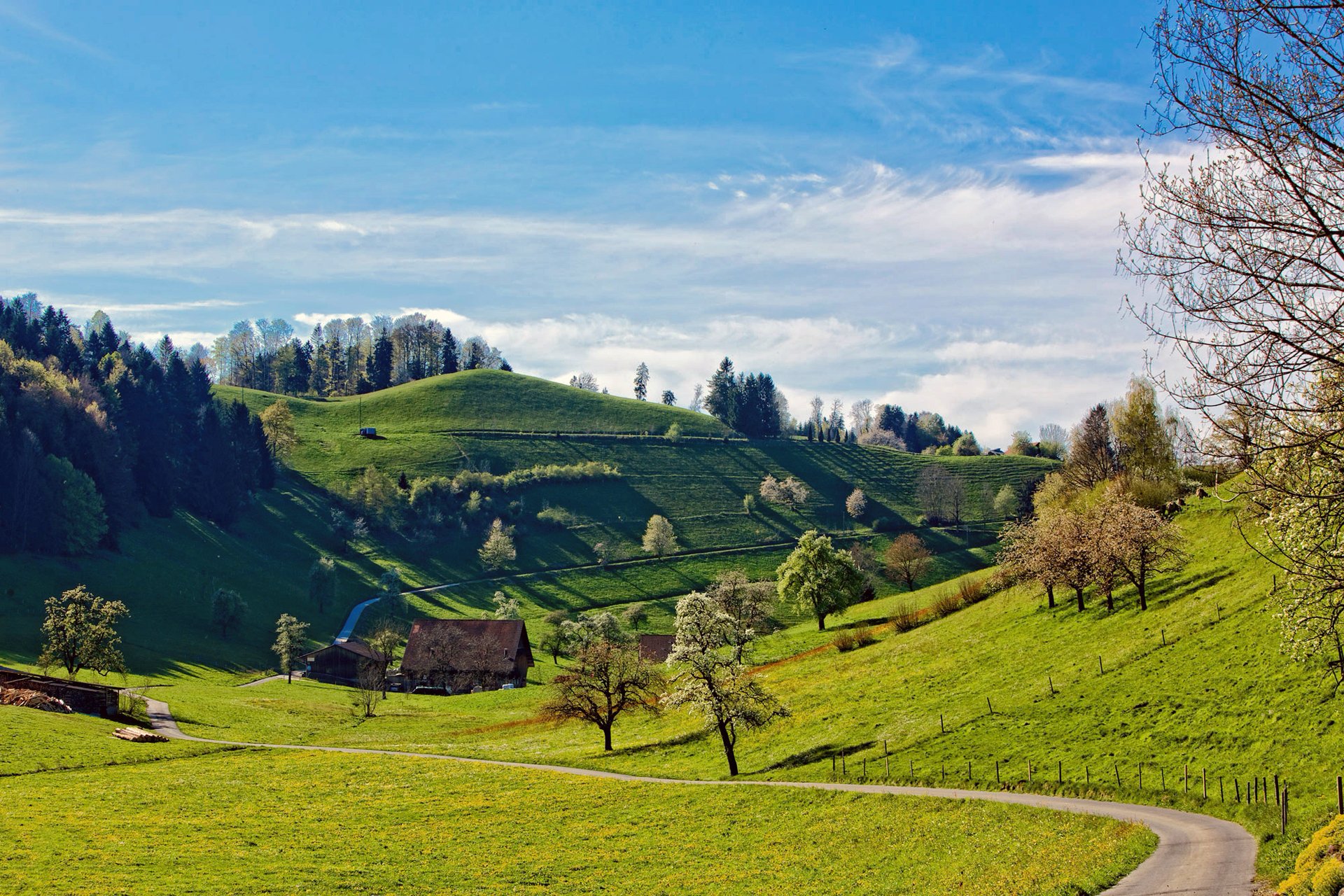 cielo nuvole colline erba alberi casa strada